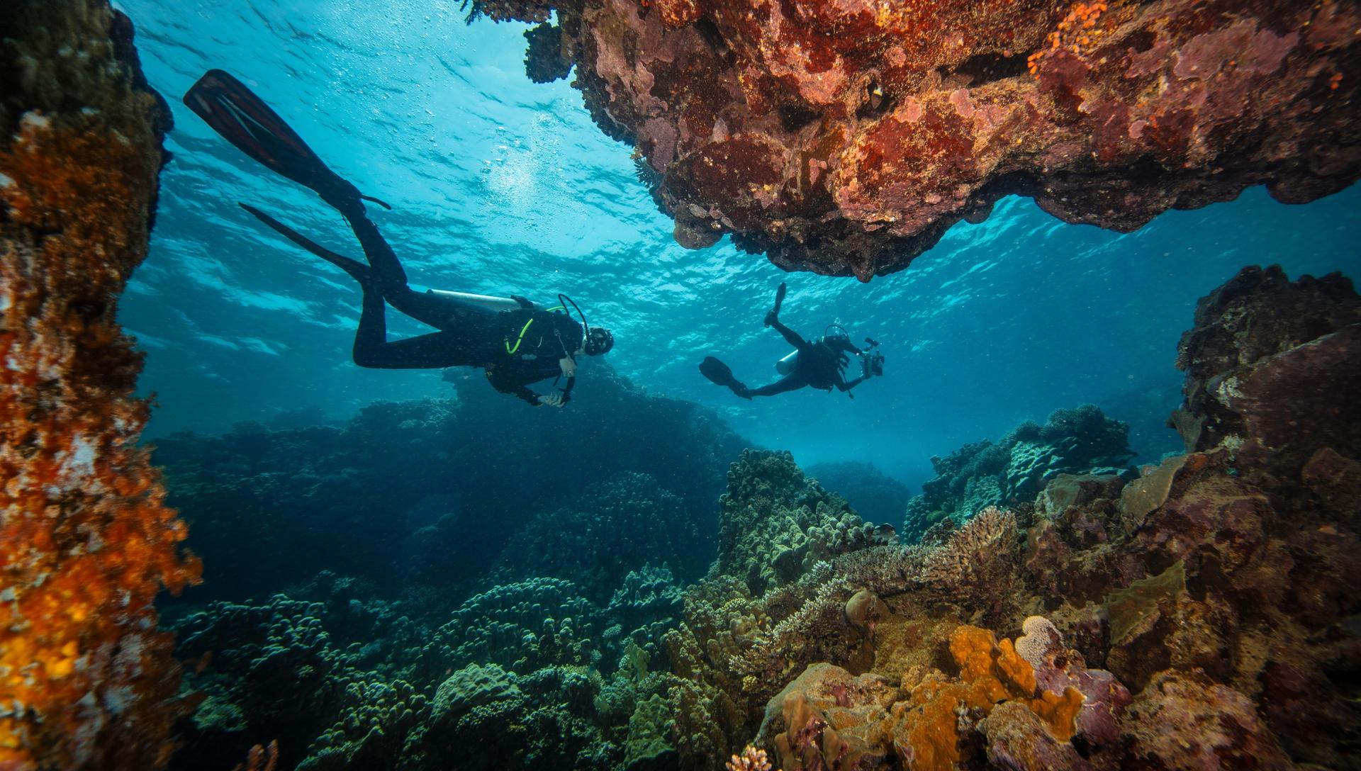 Alanya: Scuba Diving Experience incl. Lunch - Thumbnail 5