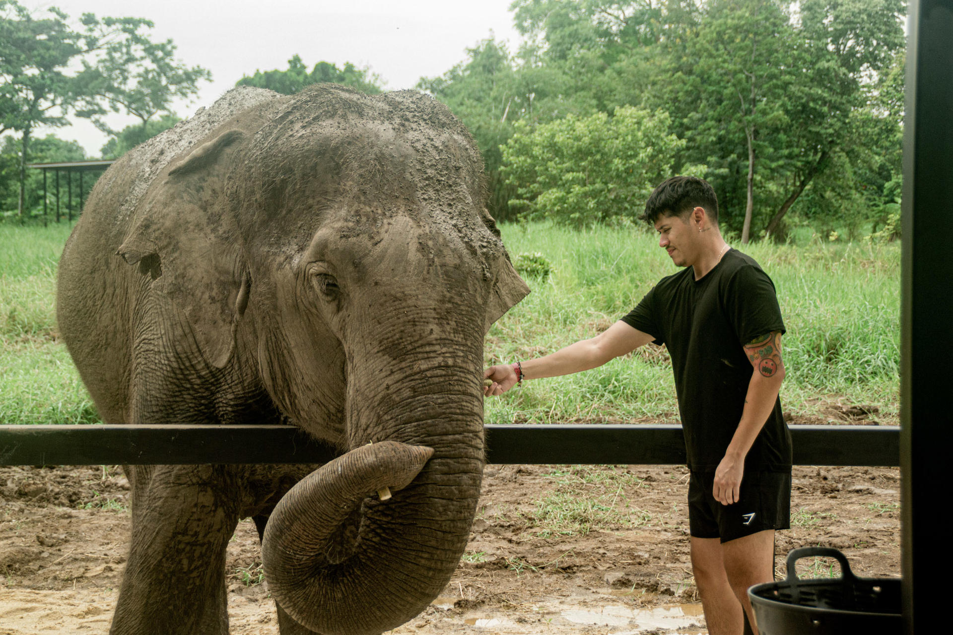 Love Elephant Sanctuary Bangkok Experience - Thumbnail 4