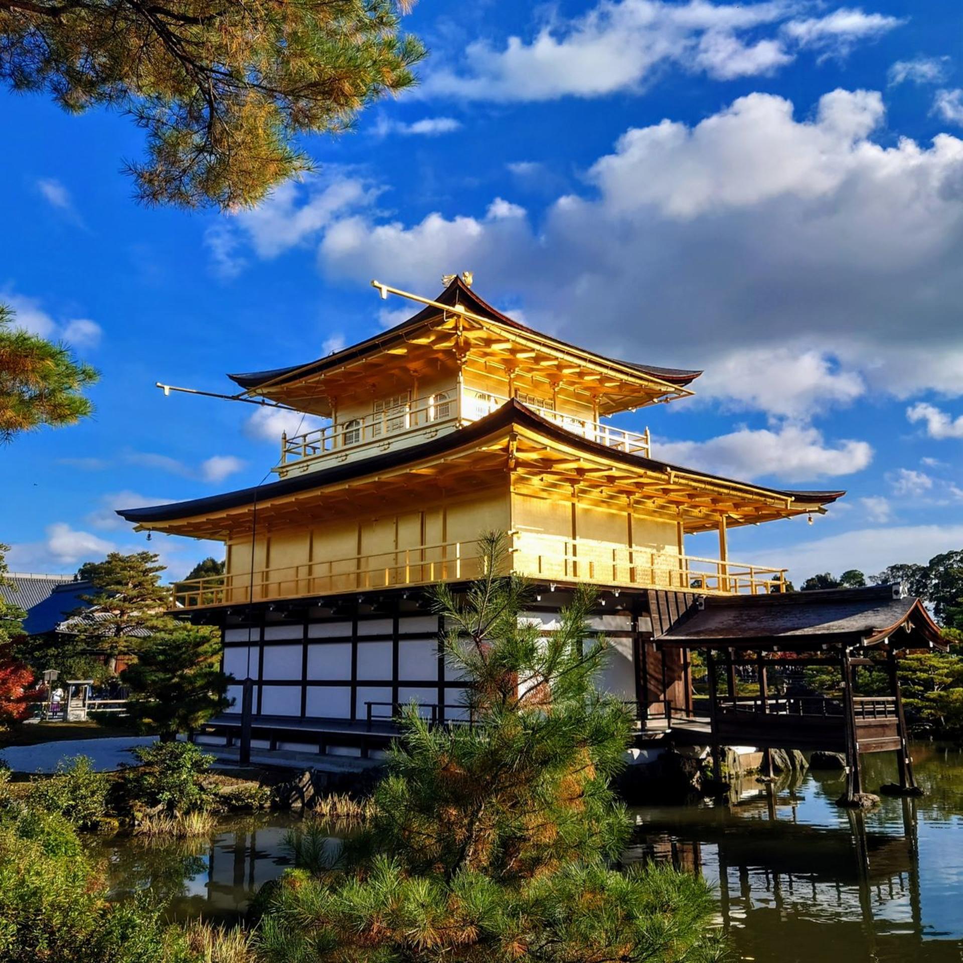 Kyoto 1 Day Bus Tour : Fushimi Inari, Kinkakuji, Bamboo Grove - Thumbnail 30