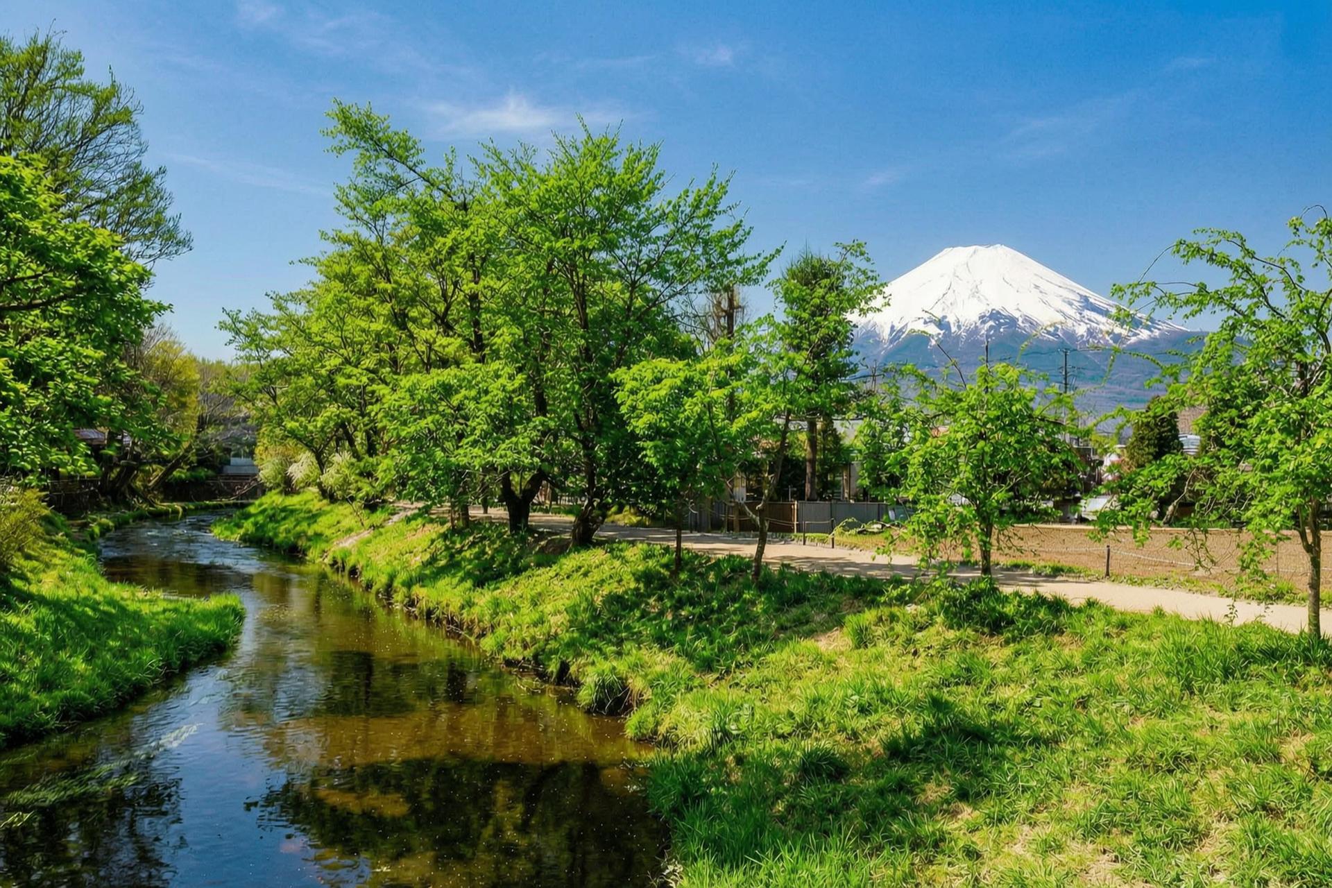 Mount Fuji Brilliant Scenery One-Day Tour (Departing from Tokyo) - Thumbnail 40