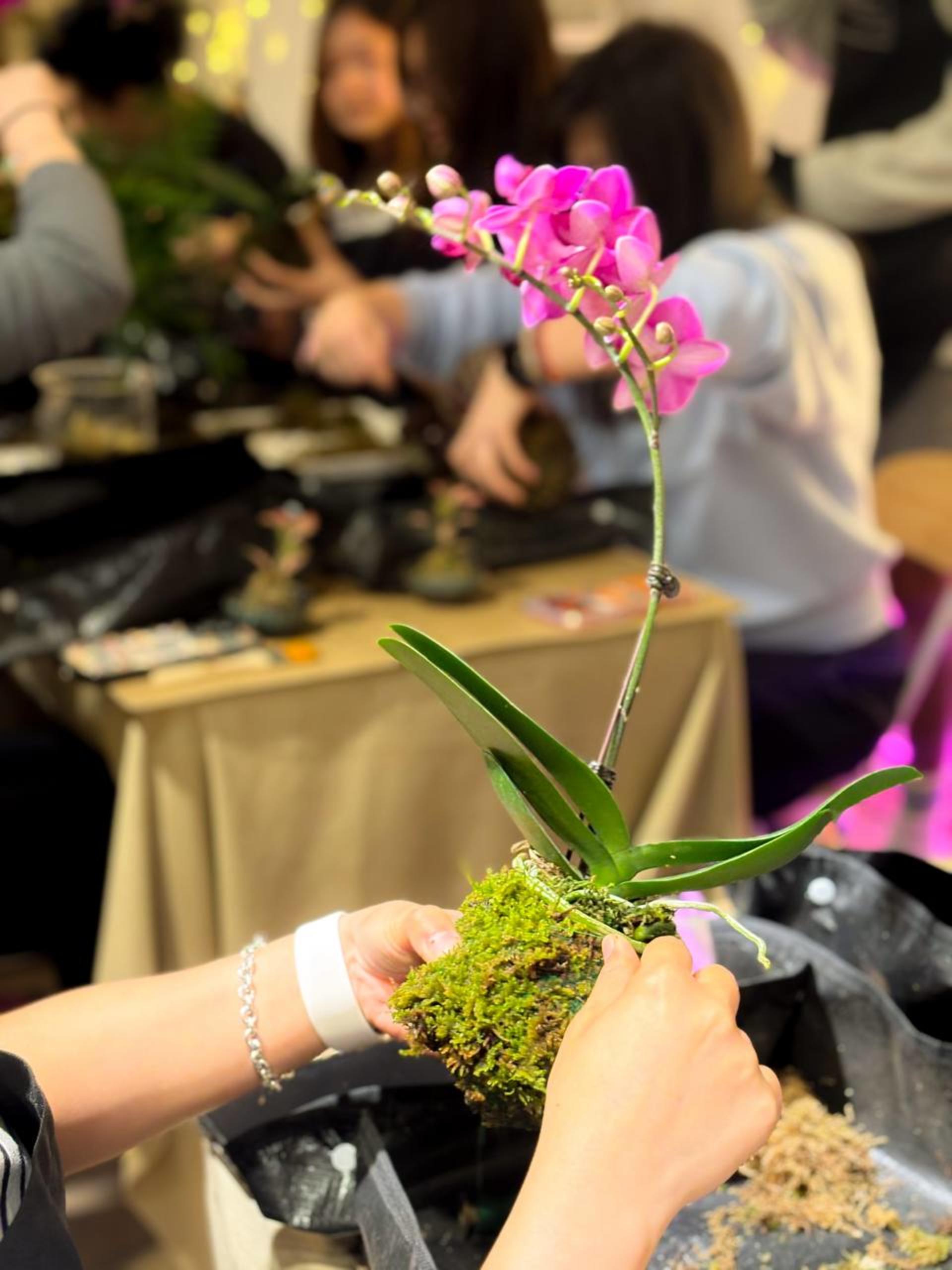 Kokedama Workshop - Thumbnail 21