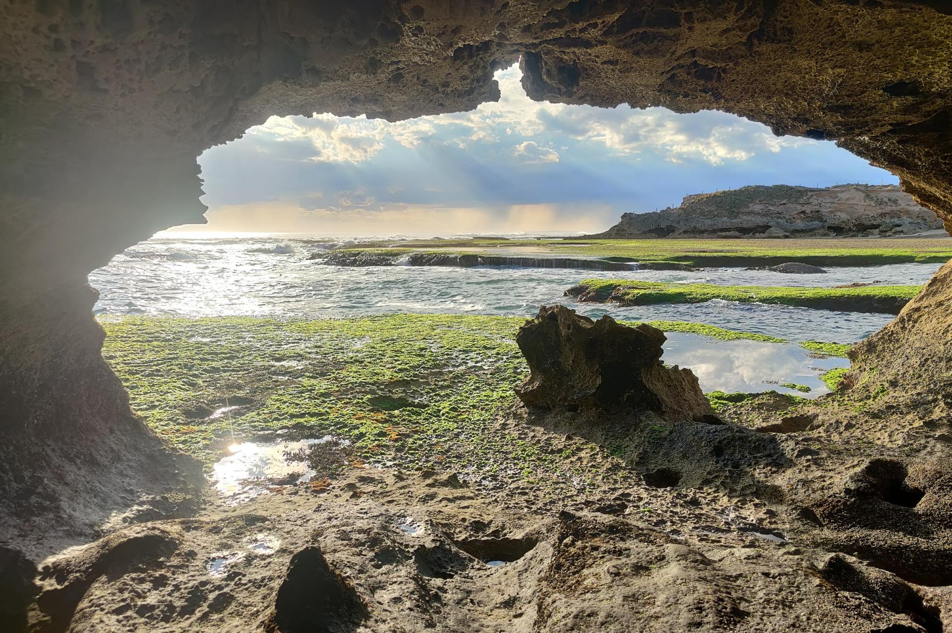 Mornington Peninsula Private Day Tour - Thumbnail 4