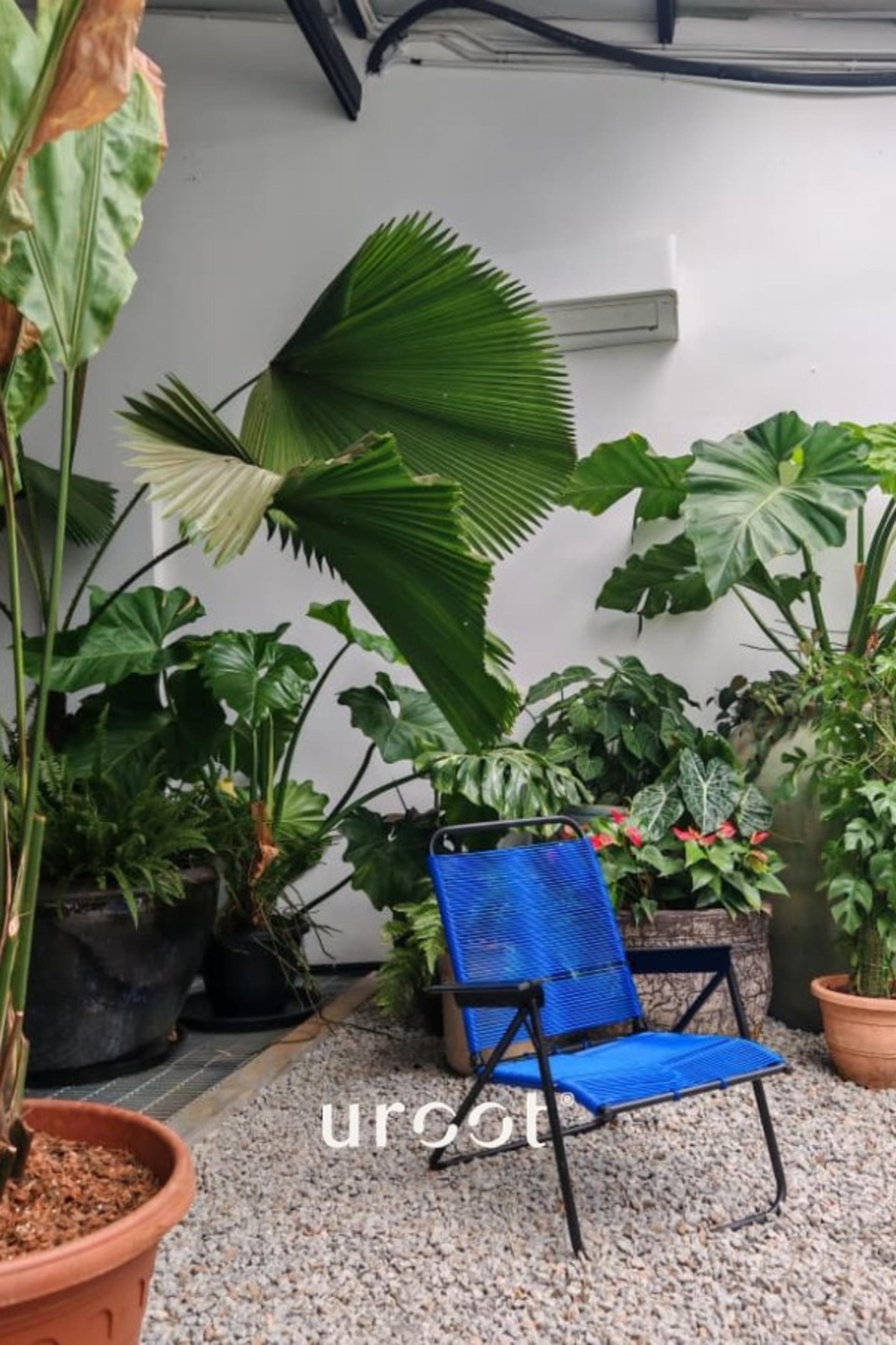 Massage & Wellness Experience at Uroot Spa Chinatown, Kuala Lumpur - Thumbnail 2