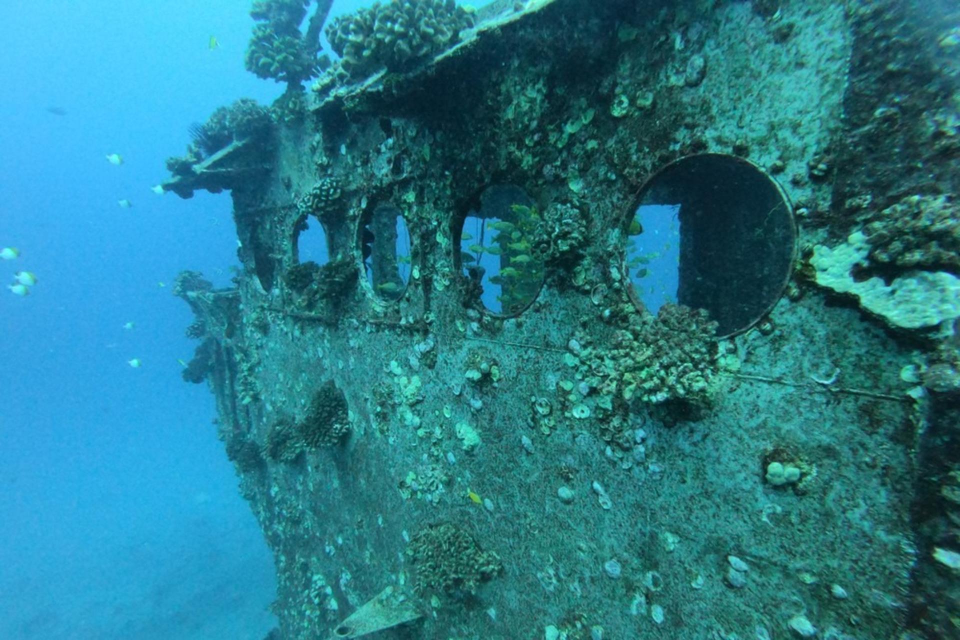 Wreck and Reef Tour in Oahu - Thumbnail 2