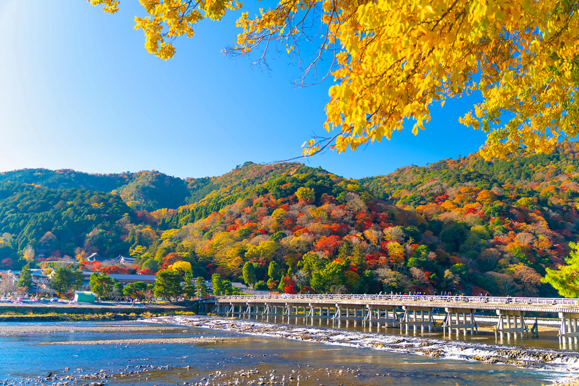 Kyoto, Arashiyama, Nara: Sagano Scenic Railway, Bamboo Forest Path, Yuzen Forest of Light, Nara Park, Fushimi Inari Shrine, Chiikawa Store Visit Day Trip | Departure from Osaka - Thumbnail 22