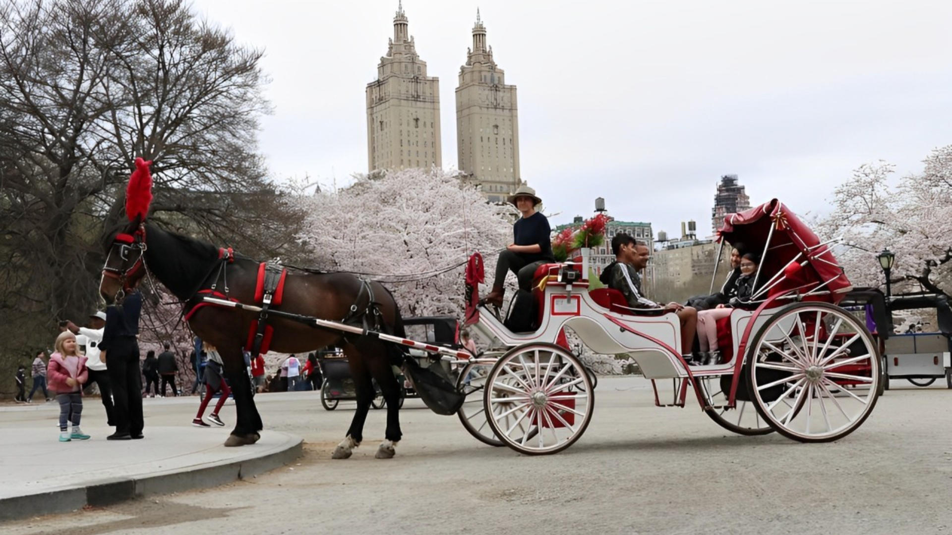  New York City: Horse-Drawn Carriage Tour Through Central Park - Image 1