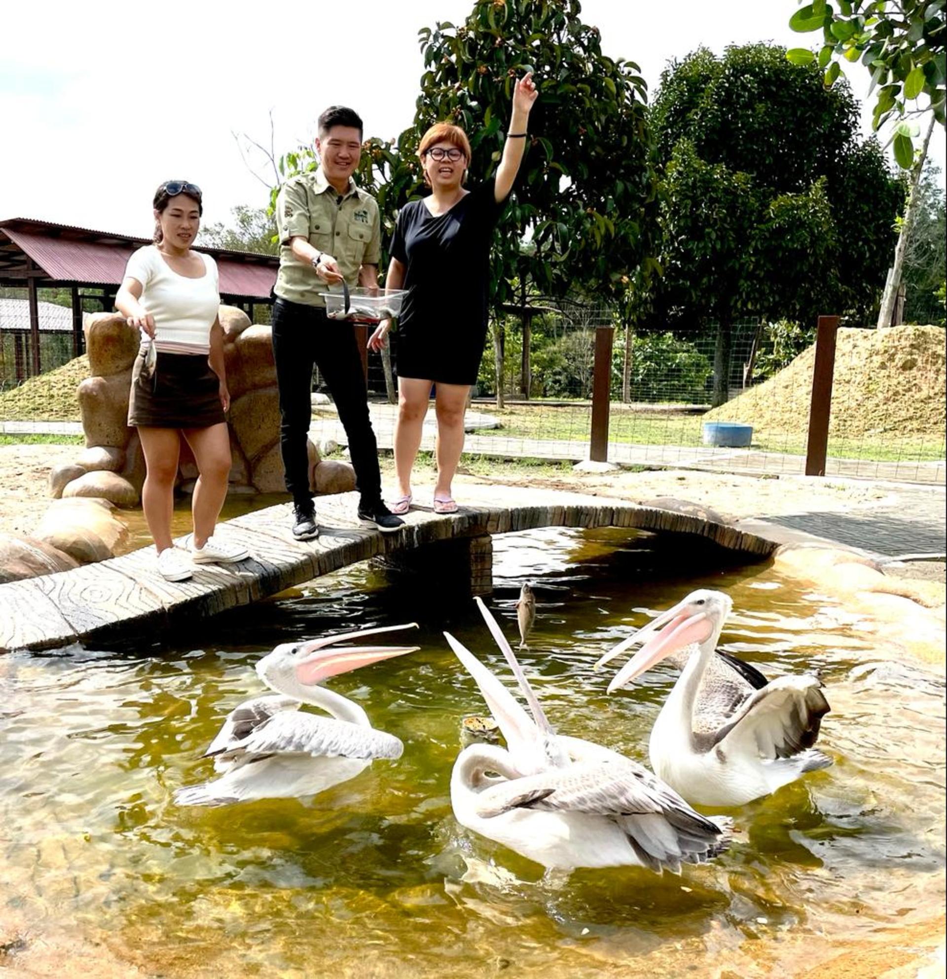 The Bentong Farm Ticket in Pahang - Thumbnail 8