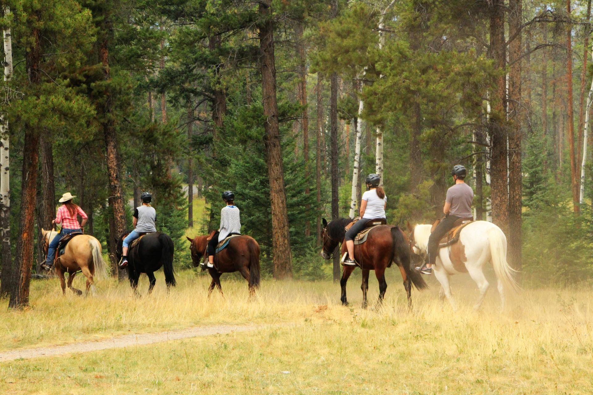 Horseback Riding Experience in Marmaris National Park - Thumbnail 5
