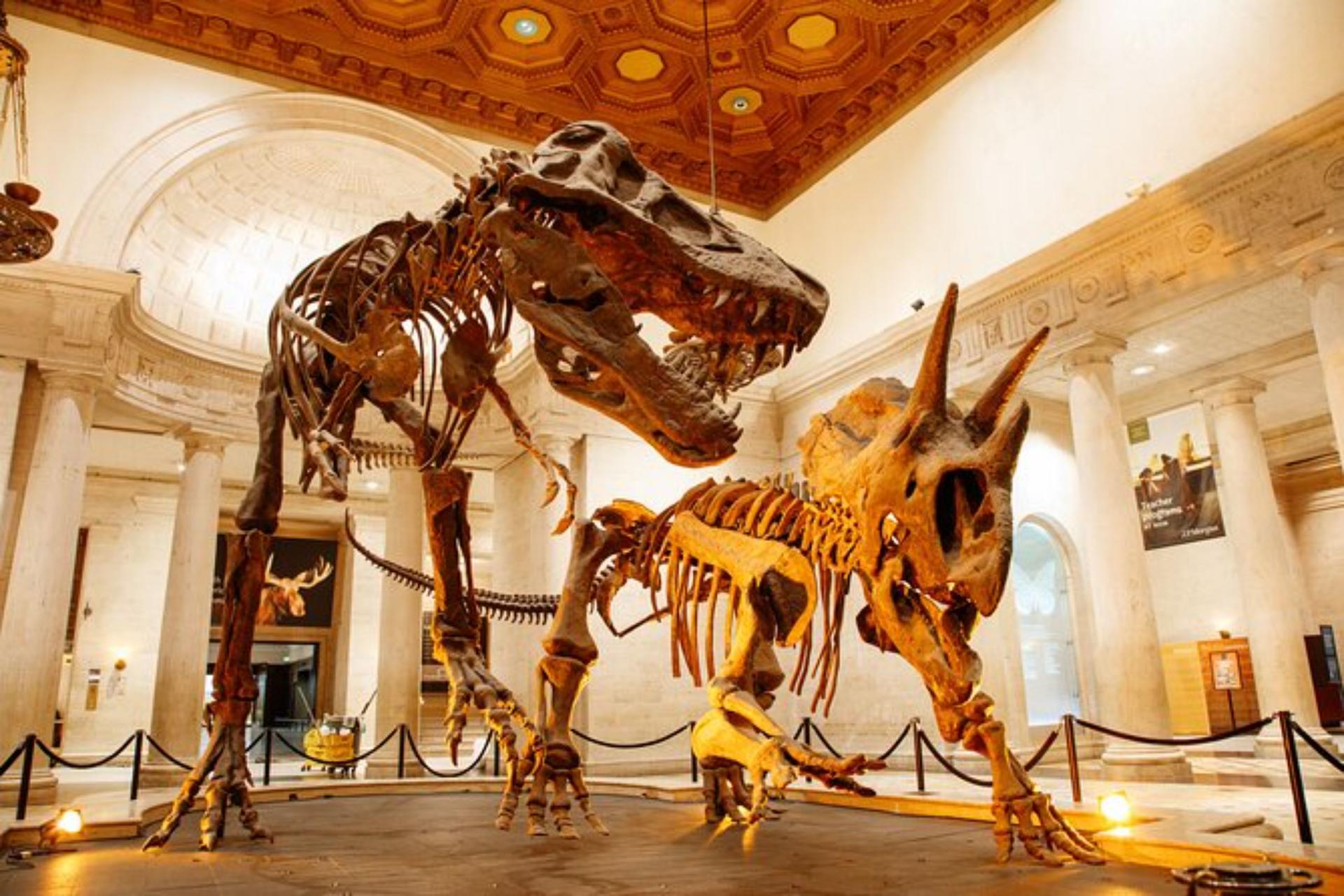Natural History Museum Ticket in Los Angeles - Thumbnail 3