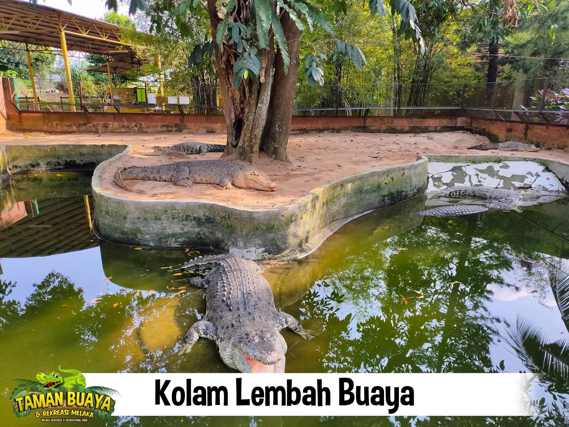 Melaka Crocodile and Recreation Park Ticket - Thumbnail 2