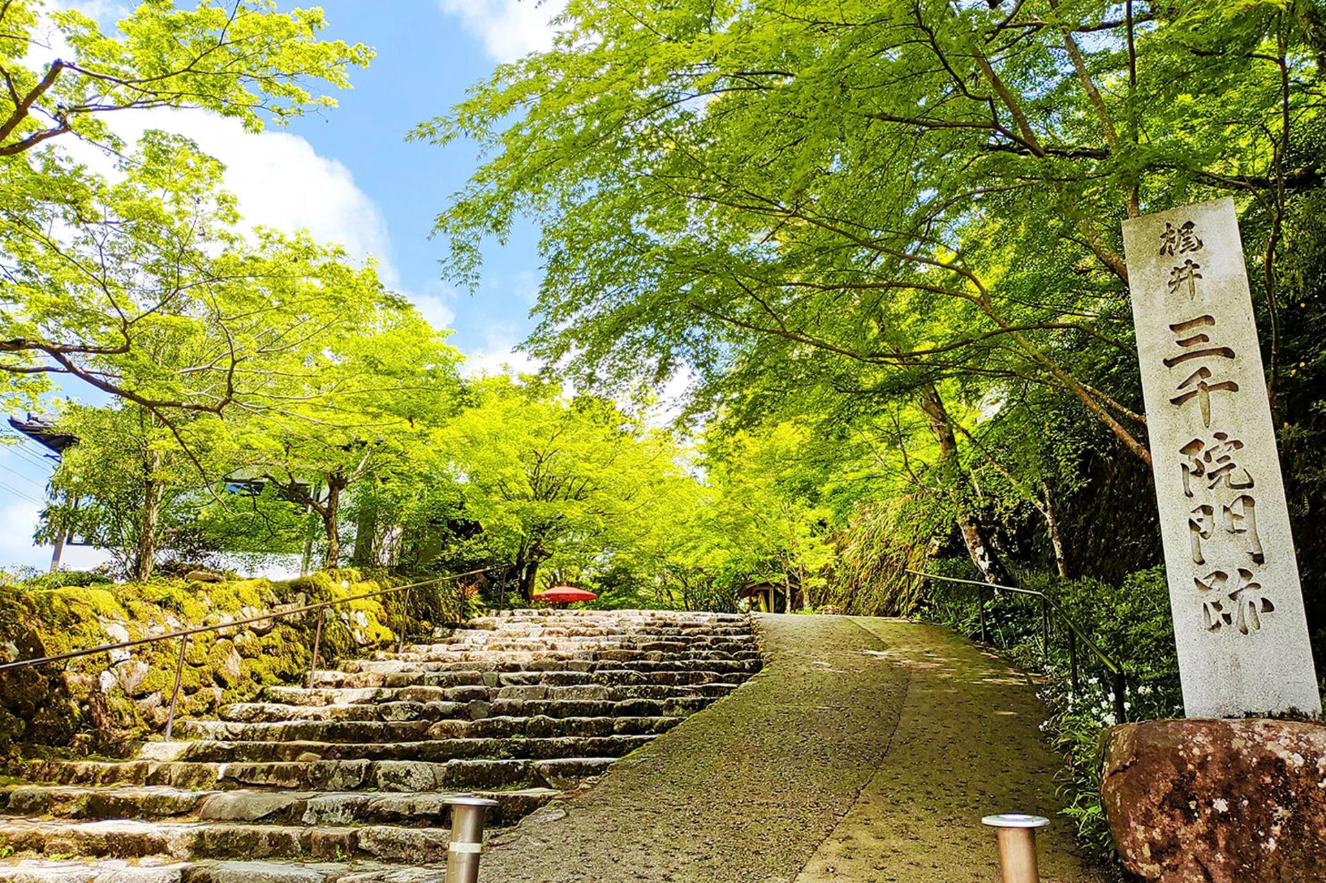 Kyoto: Kifune Shrine & Sanzen-in Temple, Arashiyama Sightseeing Train Experience/Eizan Electric Railway One-Day Trip (Departing from Osaka/Kyoto) - Thumbnail 2