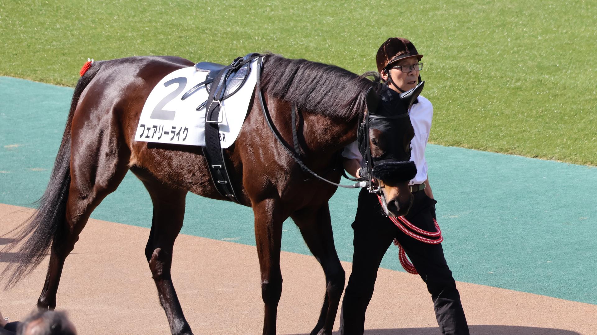 Tokyo Horse Racing Experience with Local Fan - Thumbnail 21