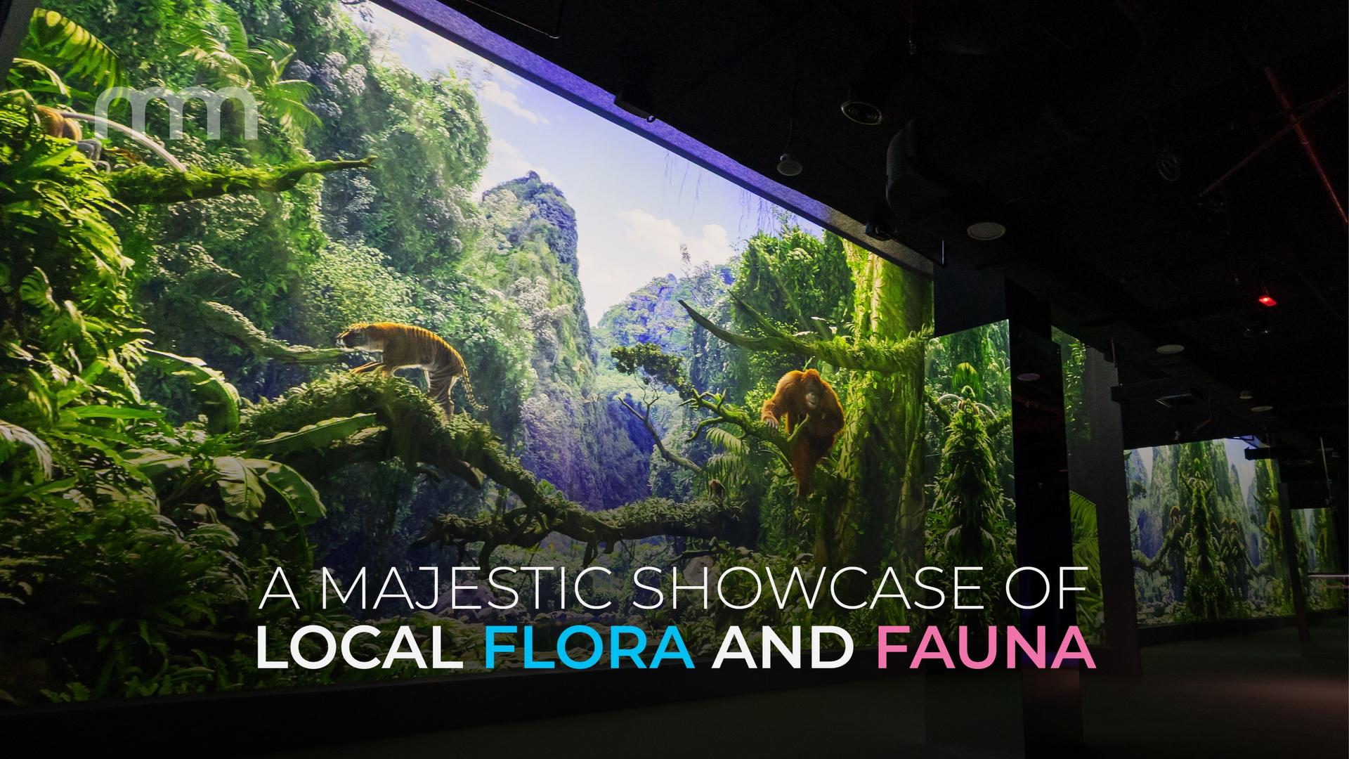 Immersify Kuala Lumpur Ticket - Thumbnail 9