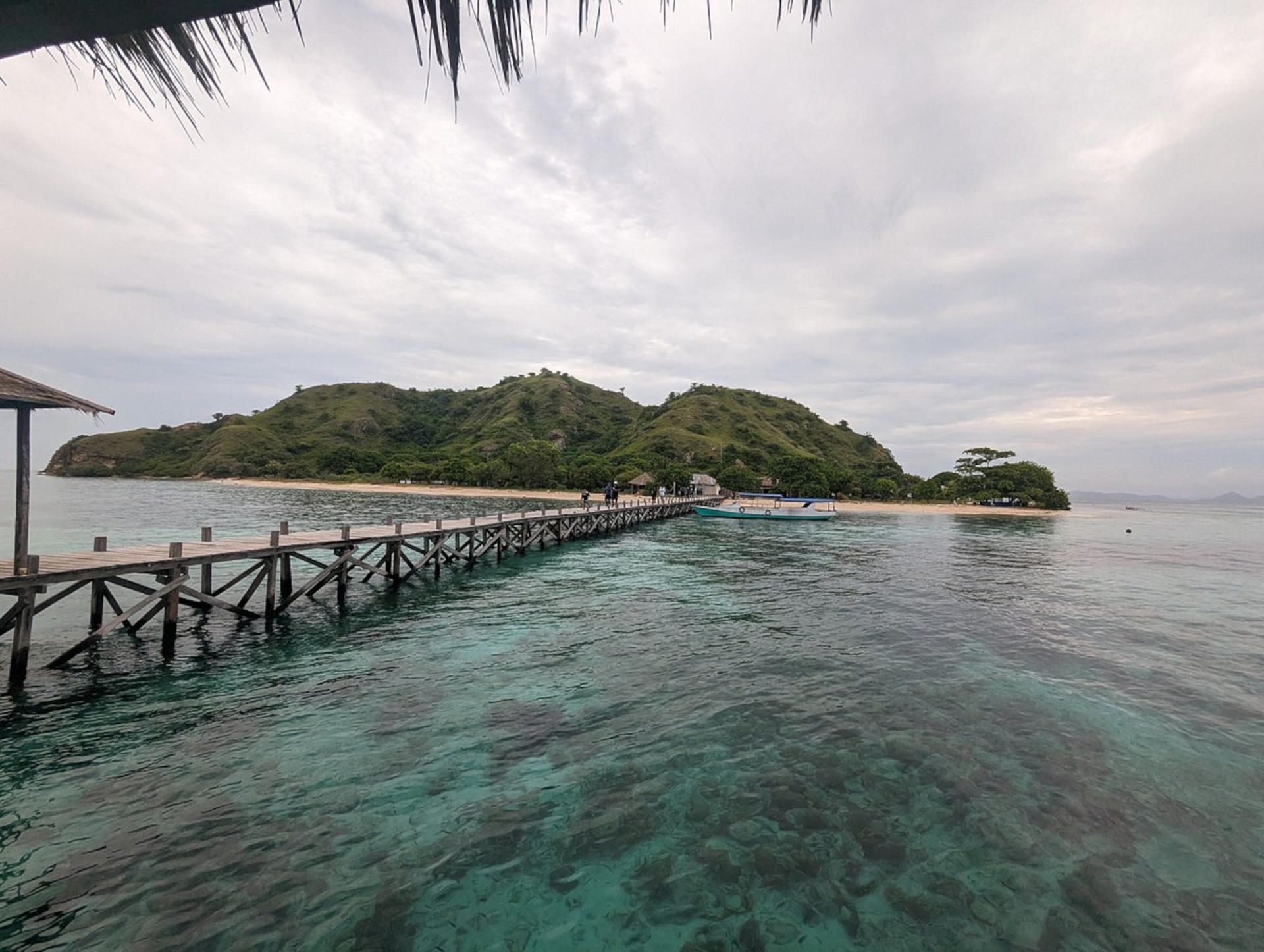 Labuan Bajo Komodo National Park Full-Day Big Group Tour - Thumbnail 29