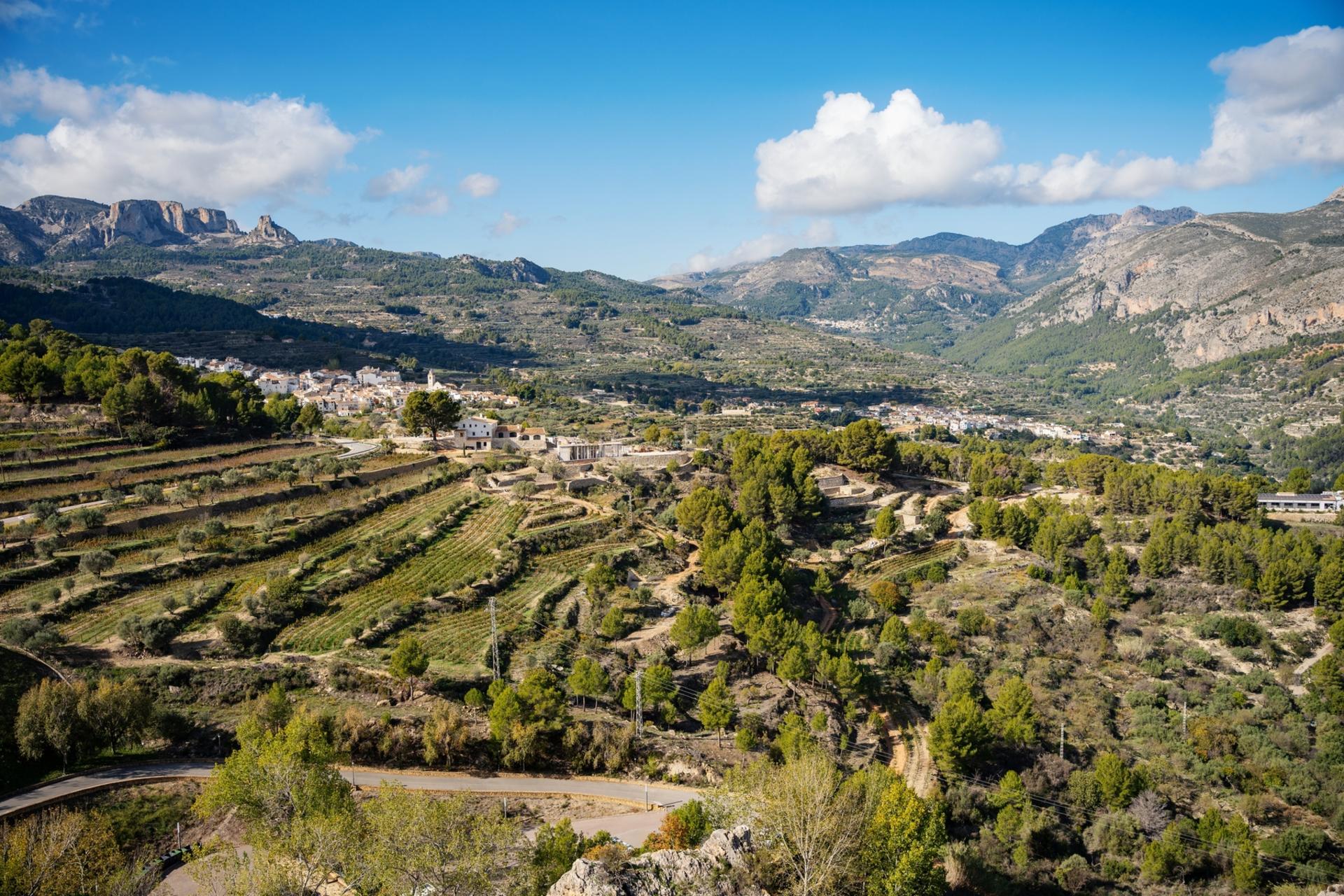 Alicante Explorer Tour: Mountains, Museums & Culture - Thumbnail 4