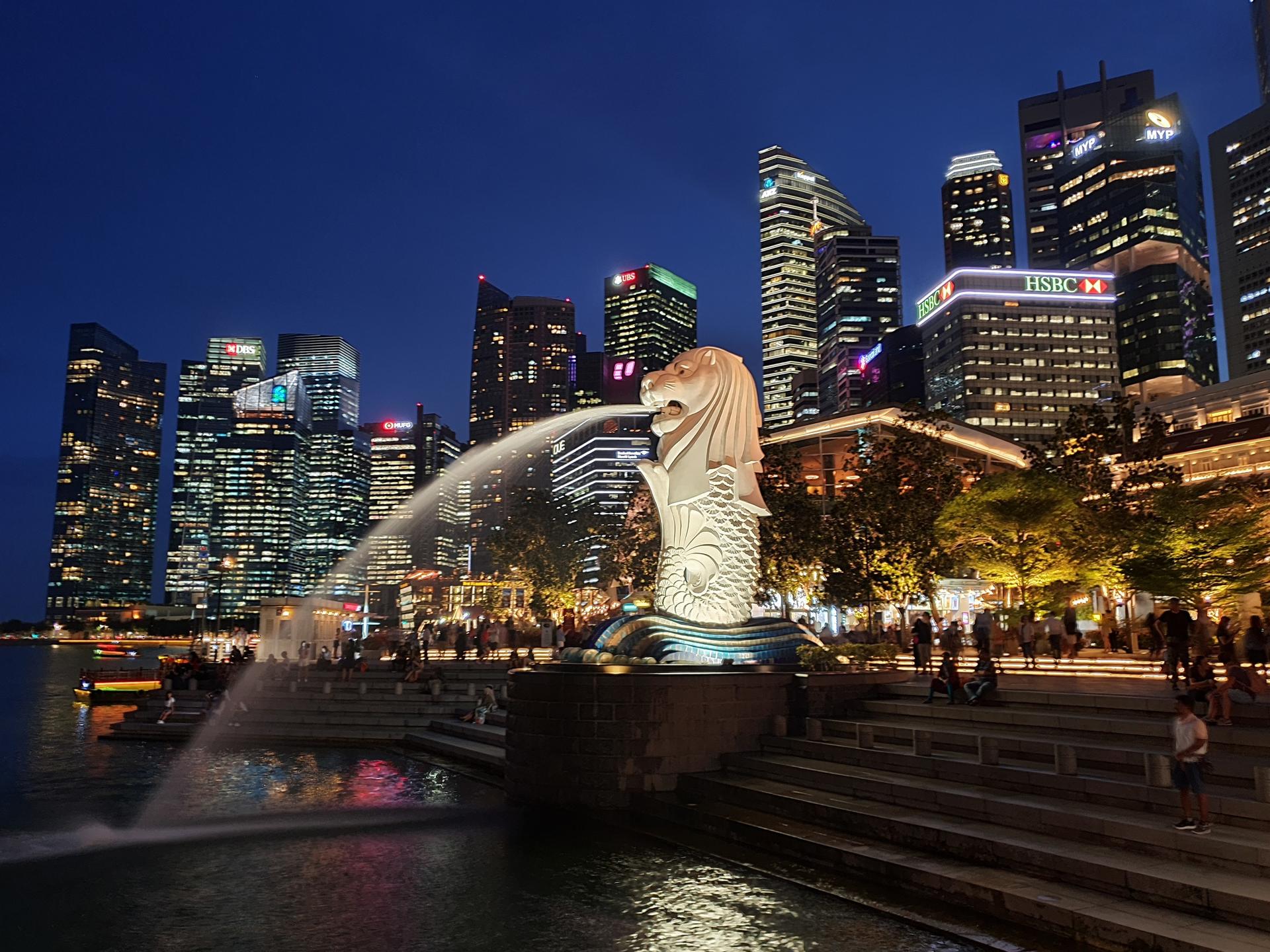 Singapore River Cruise and City Night Walking Tour - Image 1