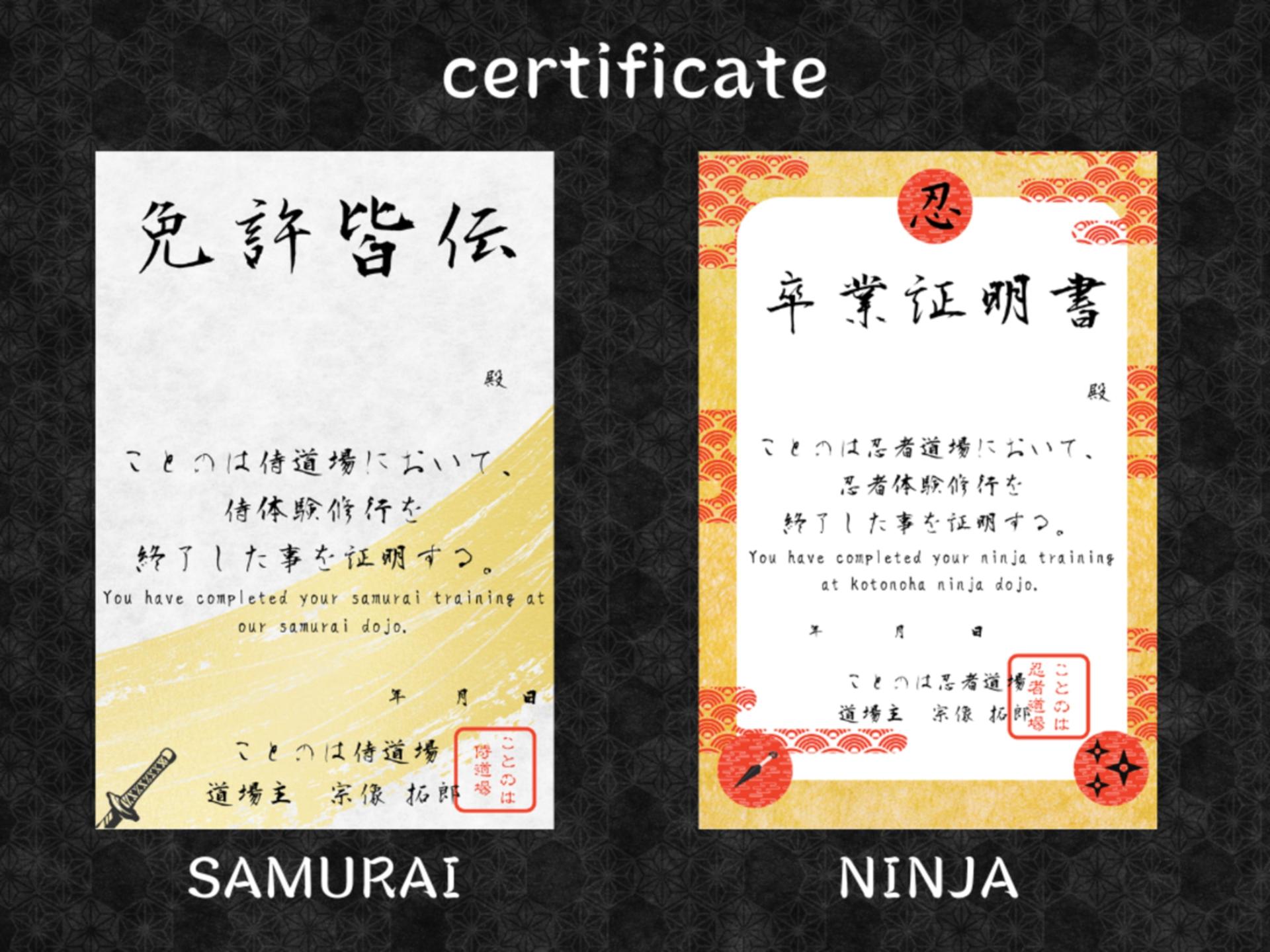 Private Tokyo Samurai & Ninja Experience: Training & Certificate - Thumbnail 15