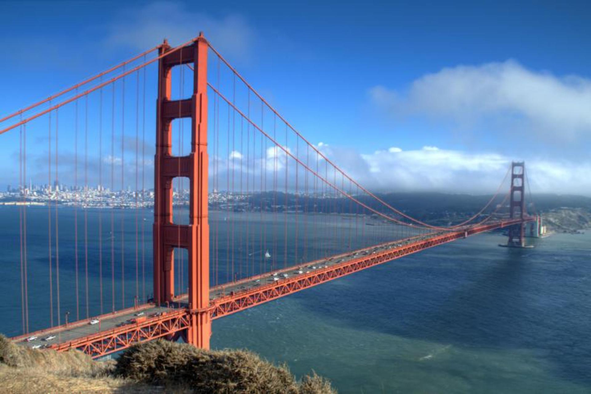 Muir Woods and Sausalito Half Day Tour - Thumbnail 3