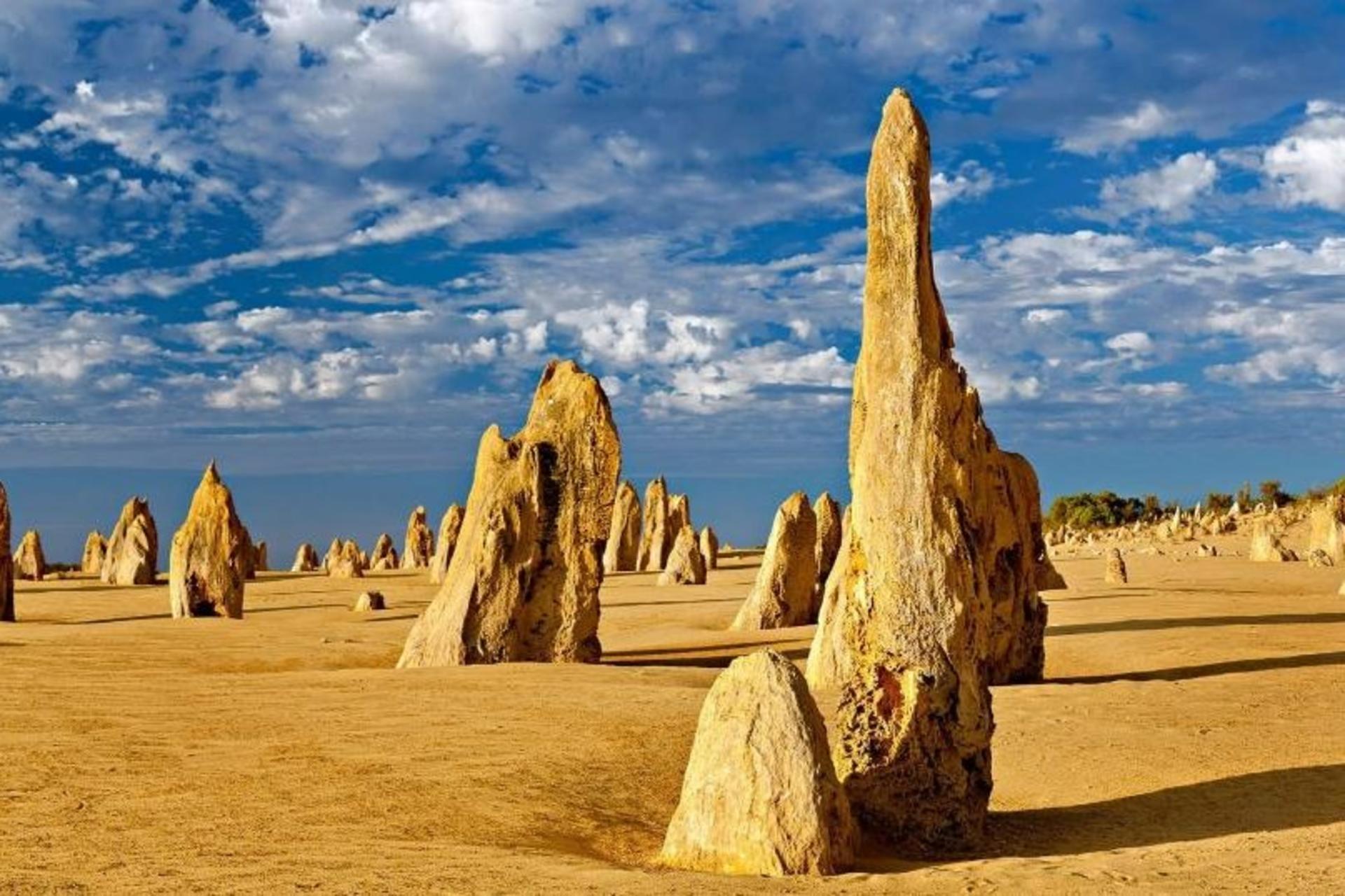 Pinnacles & Swan Vally Wine Day Tour - Thumbnail 7