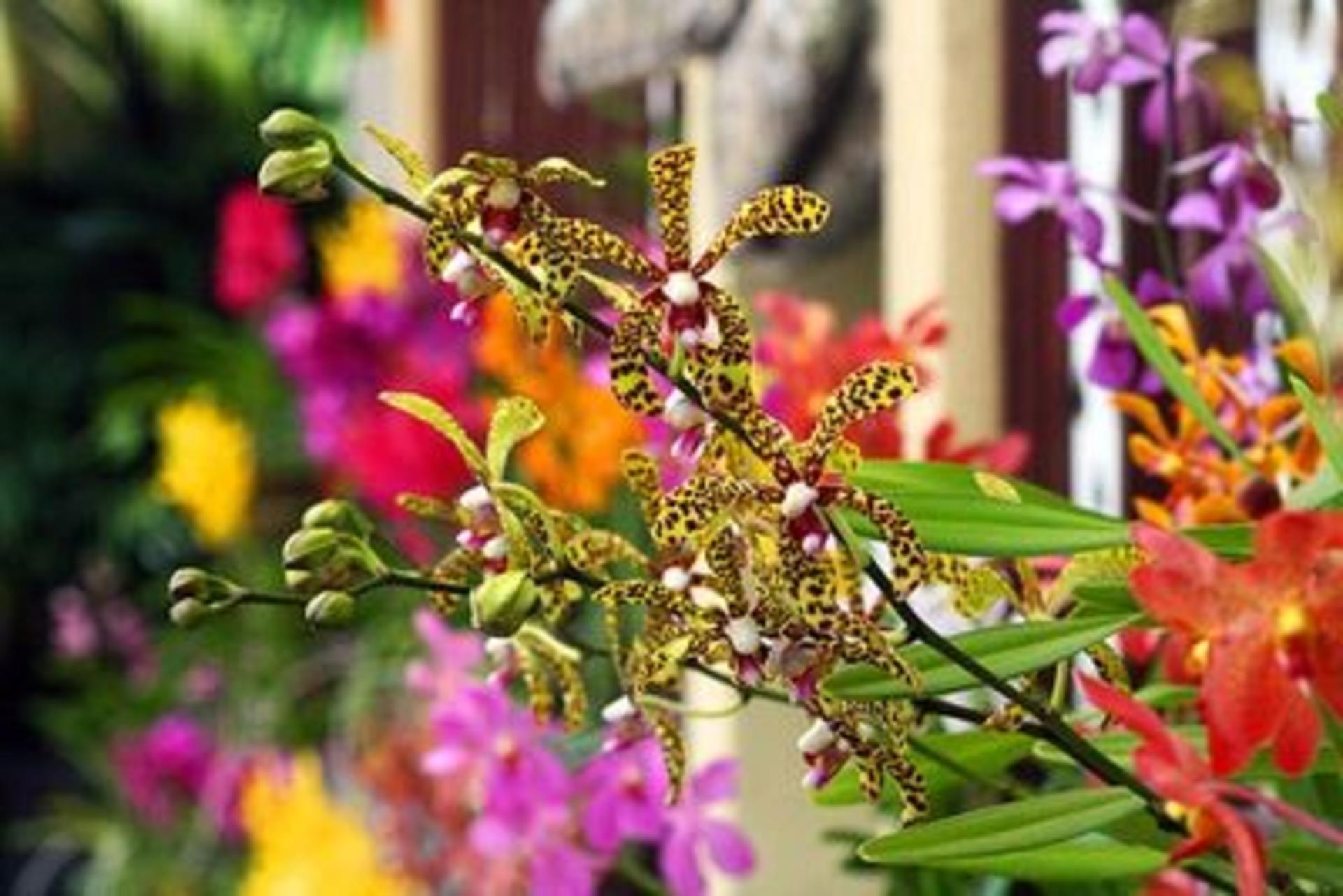 Gardens & Parks Half Day Tour - Thumbnail 3