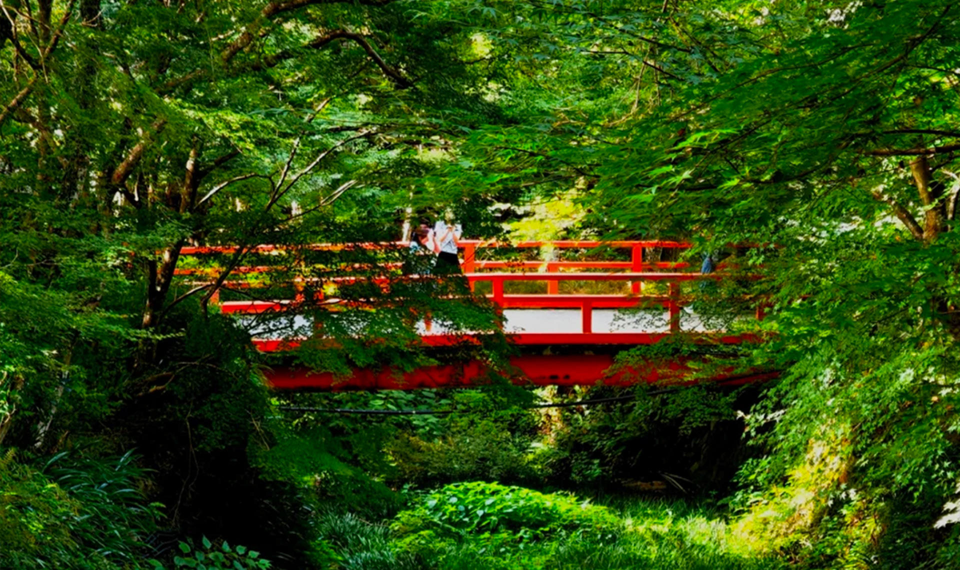 Kyoto: Kifune Shrine & Sanzen-in Temple, Arashiyama Sightseeing Train Experience/Eizan Electric Railway One-Day Trip (Departing from Osaka/Kyoto) - Thumbnail 4