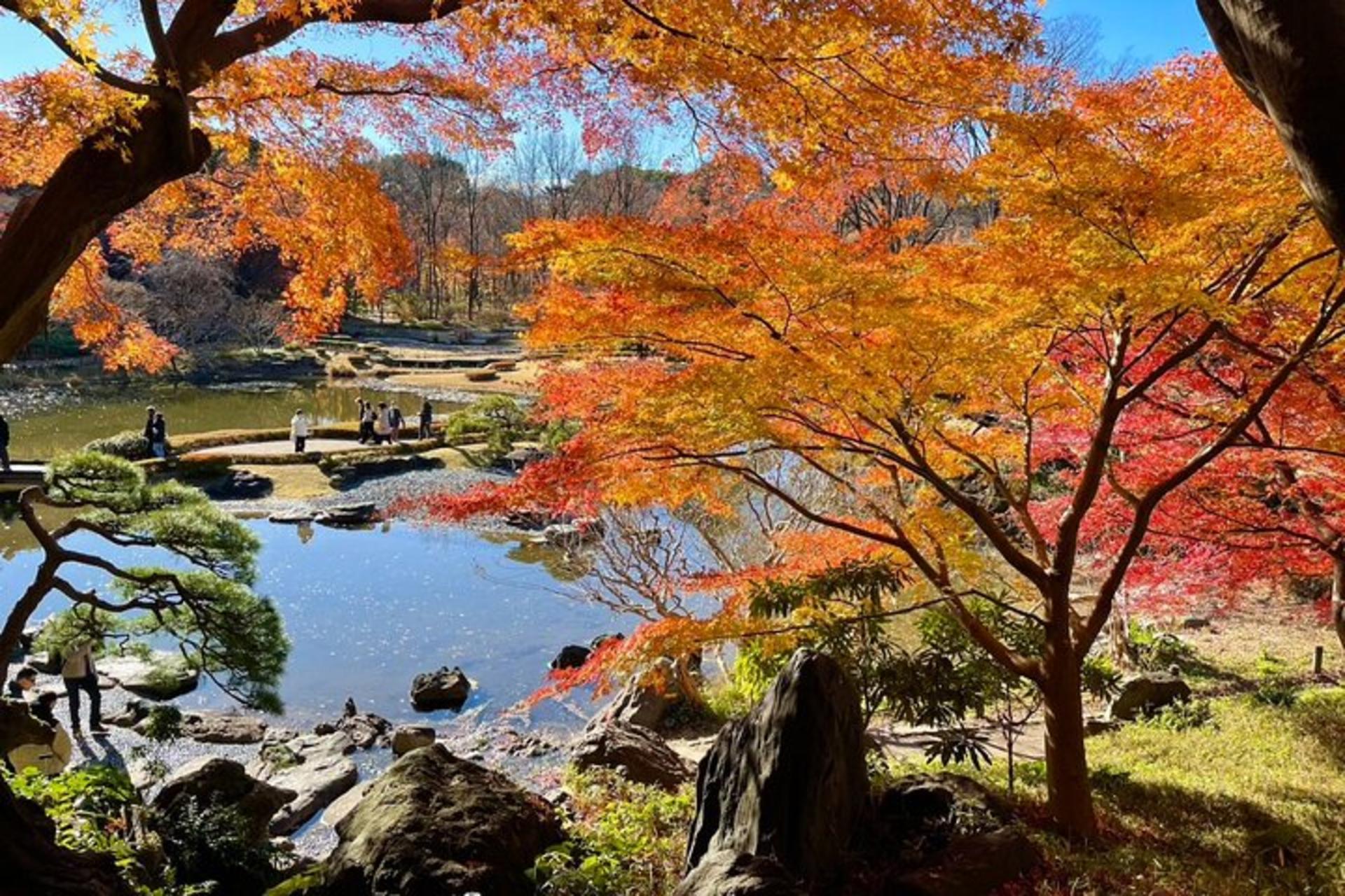  Tokyo Private Walking Tour of the Imperial Palace East Gardens - Thumbnail 9