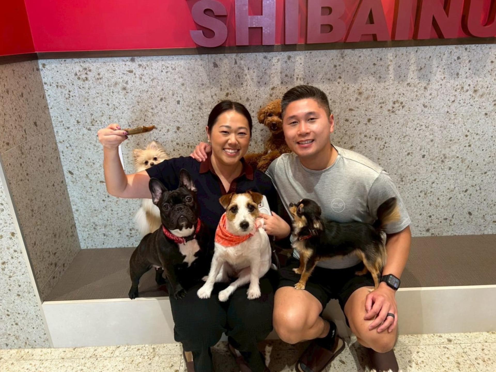 Play with Dogs at Dog Cafe Rio Kyoto[Dog Cafe Rio Kyoto] - Thumbnail 9