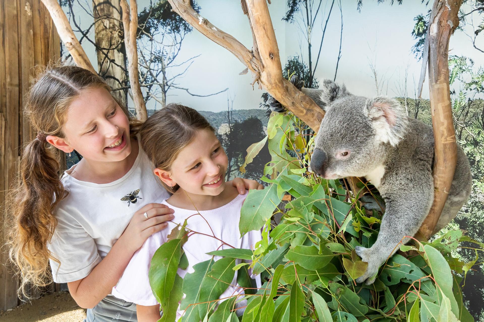 Blue Mountains Zoo, Koala, Leura & Scenic World Mandarin Tour - Thumbnail 6