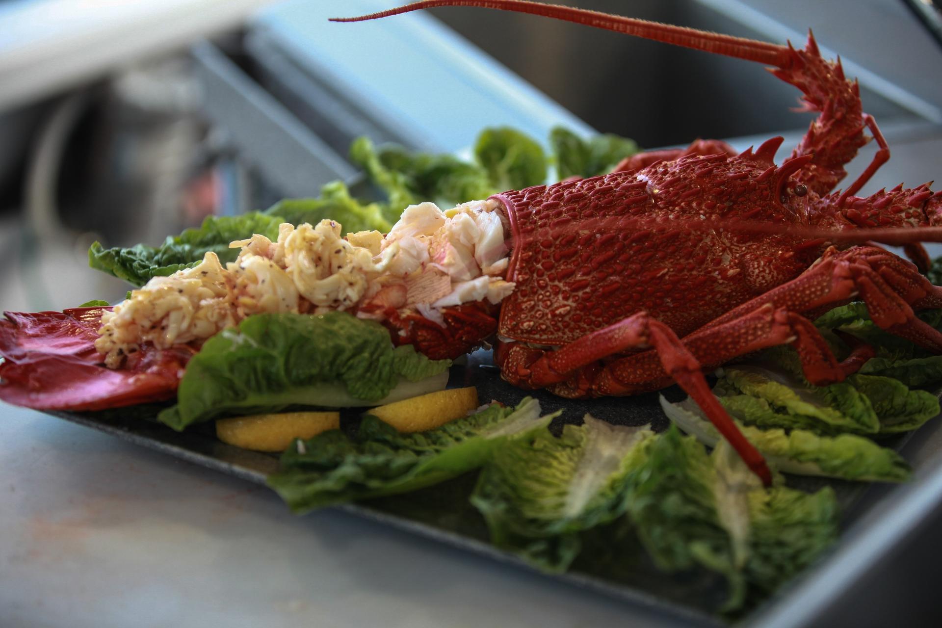 Tasmanian Wild Seafood Adventures: Deep-to-dish - Thumbnail 30