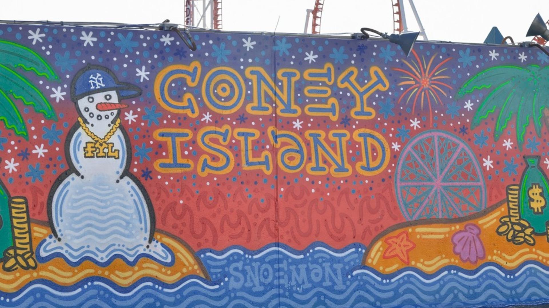 Contrast of NYC: Bronx, Brooklyn, Harlem, Queens & Coney Island - Thumbnail 12