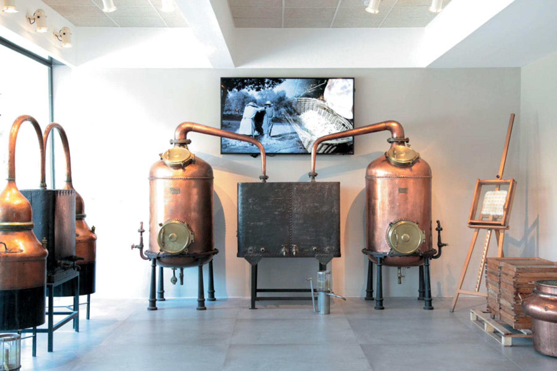 Fragonard Perfume Factory Tour and Mini Workshop in Grasse - Thumbnail 7