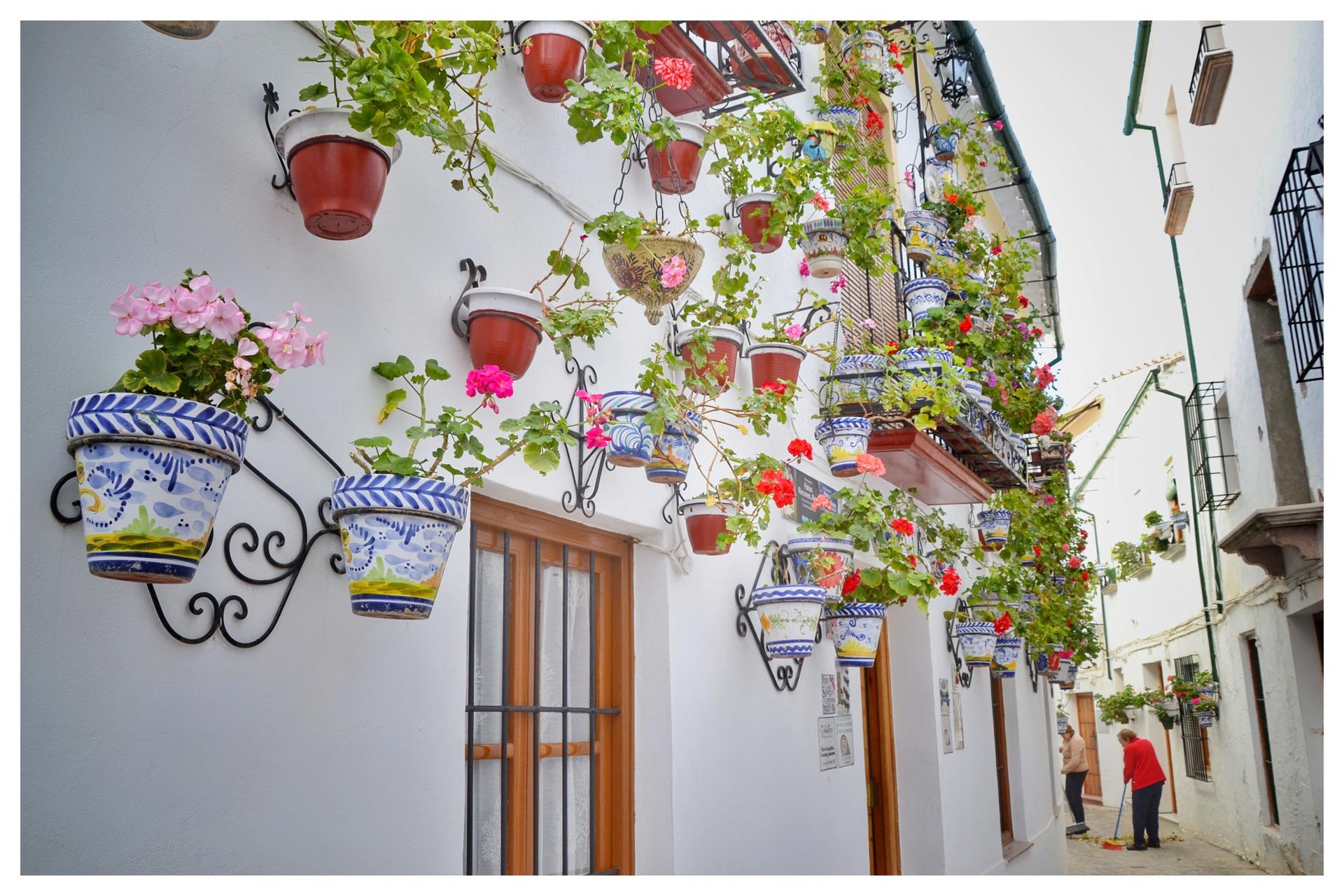 Cordoba Priego de Cordoba & Zuheros Full-Day Private Tour - Thumbnail 3