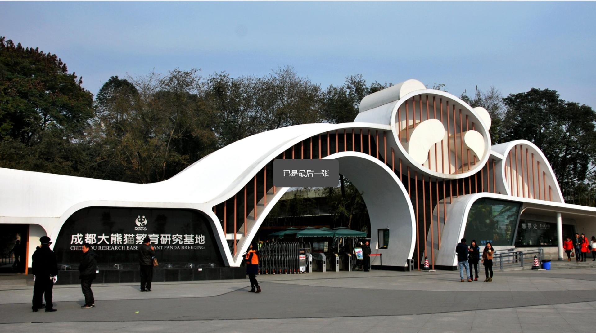 Chengdu Chunxi Road to Panda Base Direct Bus + Ticket + Private Guided Tour - Thumbnail 3