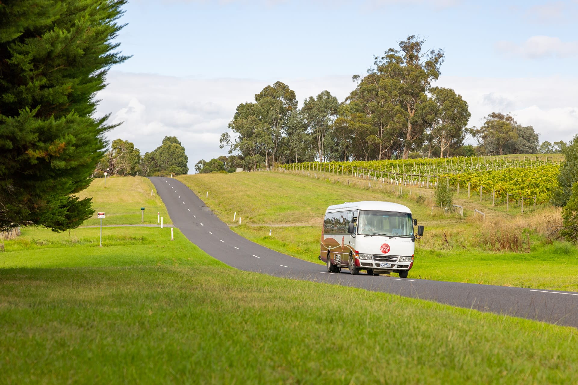 Yarra Valley Wine Experience Guided Day Tour - Thumbnail 5