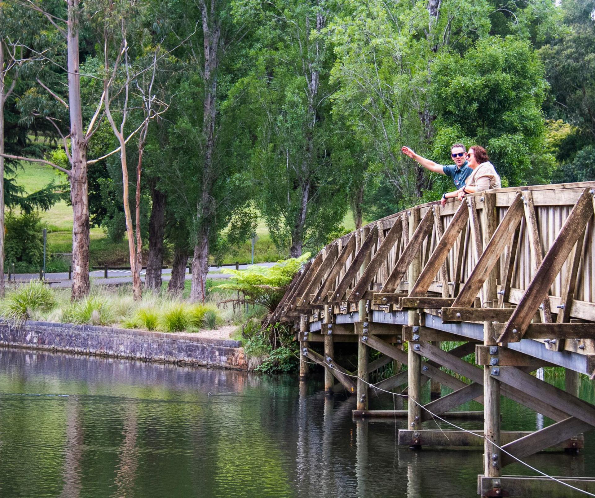 Puffing Billy Half Day Steam Train Tour - Thumbnail 13