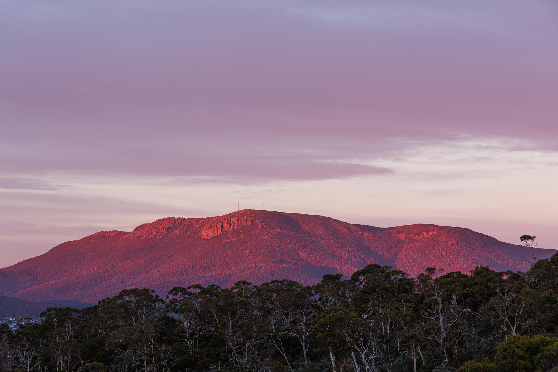 nipaluna (Hobart) Highlights Half Day Tour - Thumbnail 5