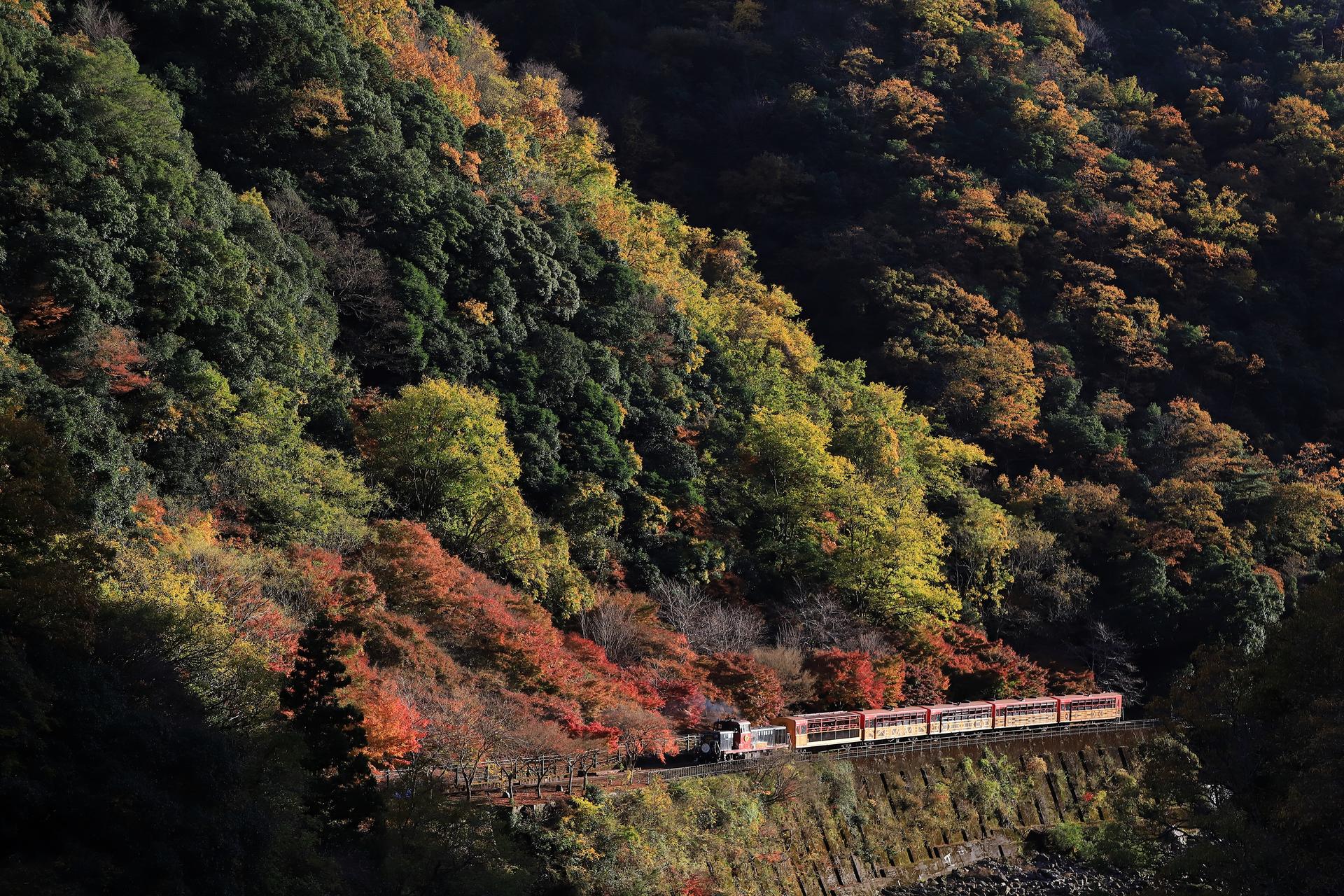 Arashiyama Tour with Optional Sagano Romantic Train Ride - Image 1