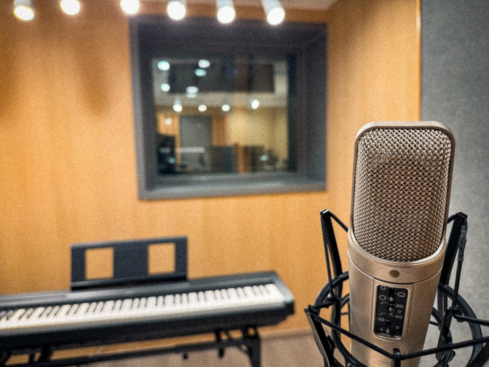 Singer's Dream: Professional Recording Studio Experience - Thumbnail 8