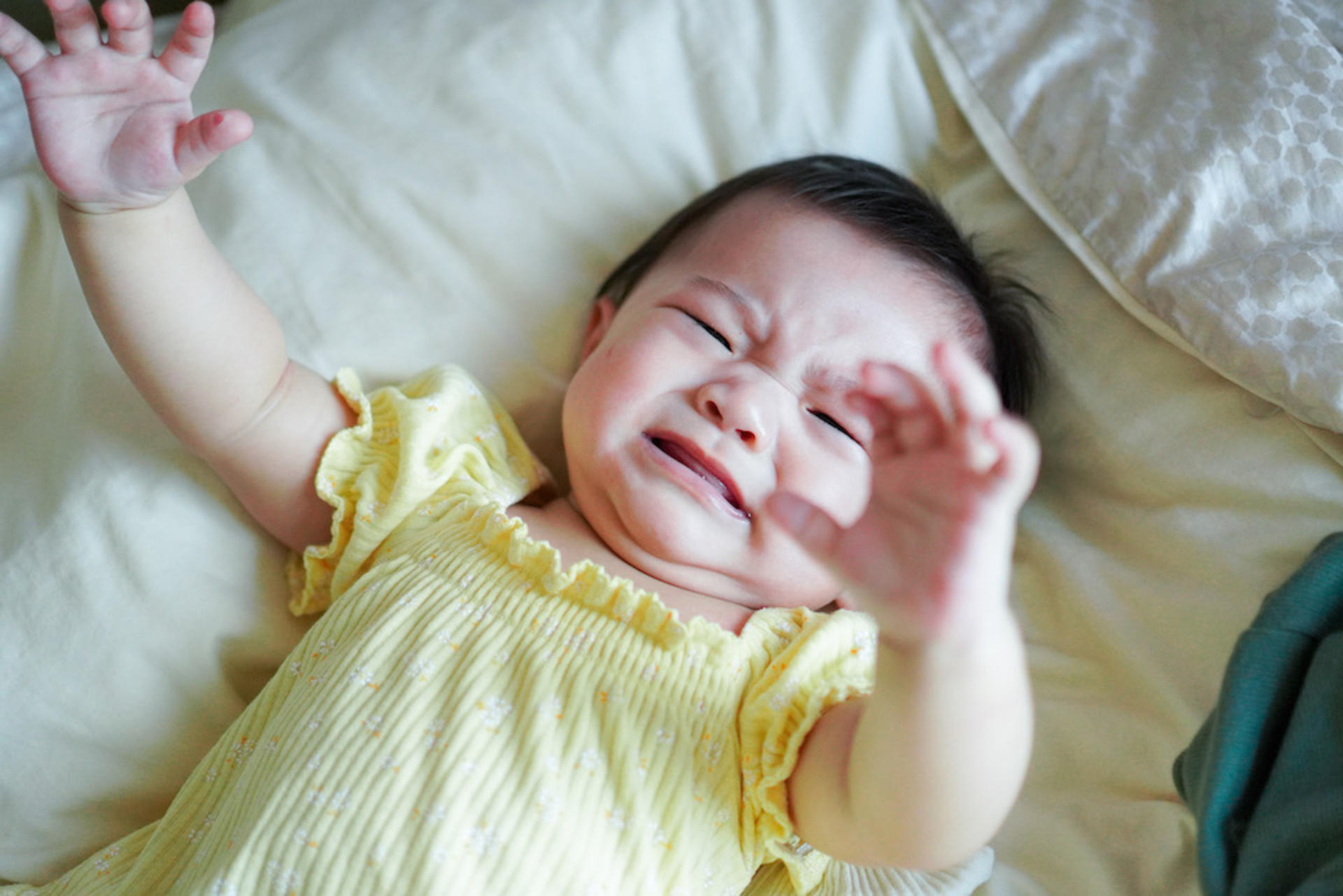 KATE.JPGGG Family Photoshoot / Baby Photoshoot (Location Customizable) - Thumbnail 11