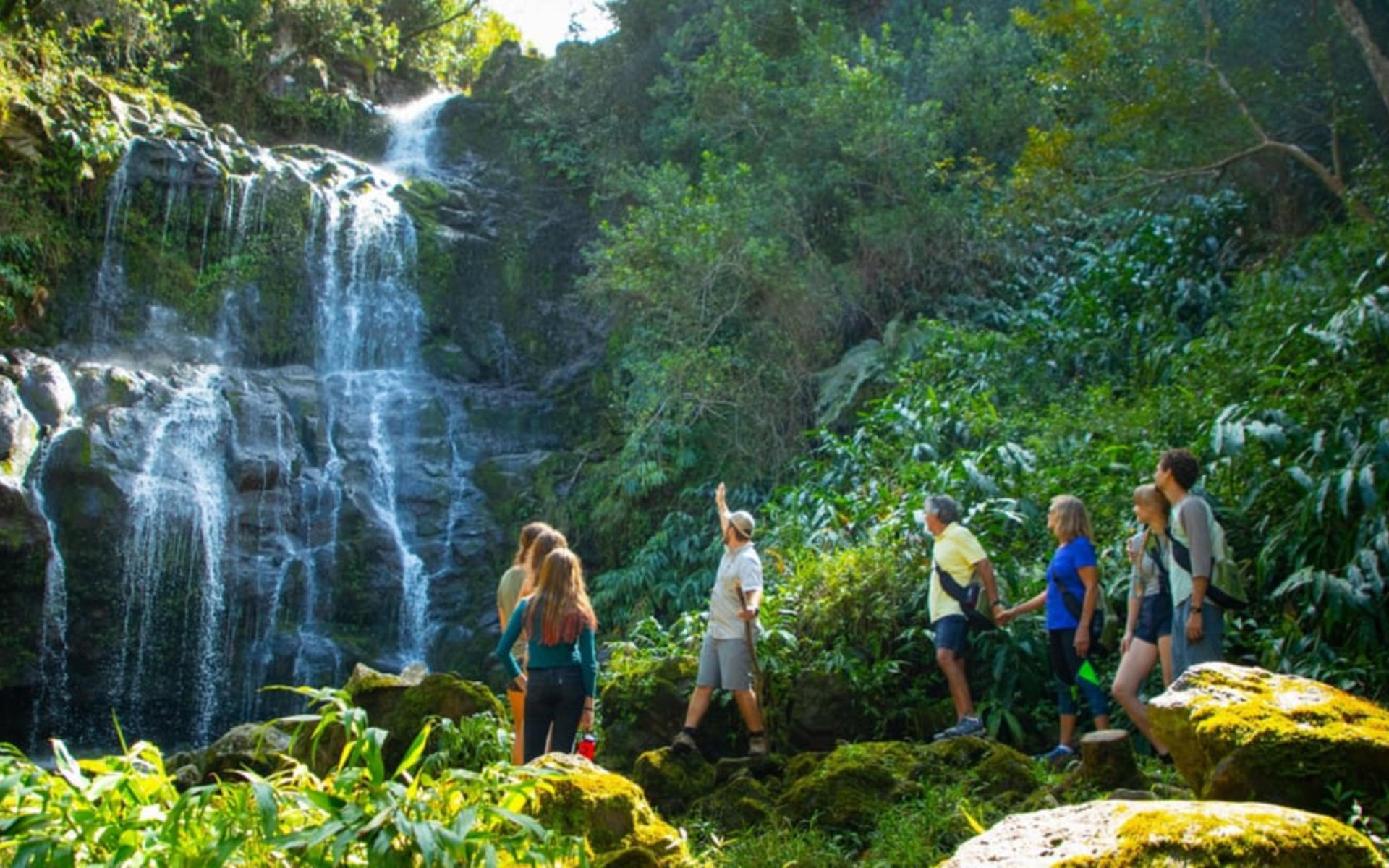 Kohala Zip & Dip Experience - Thumbnail 3