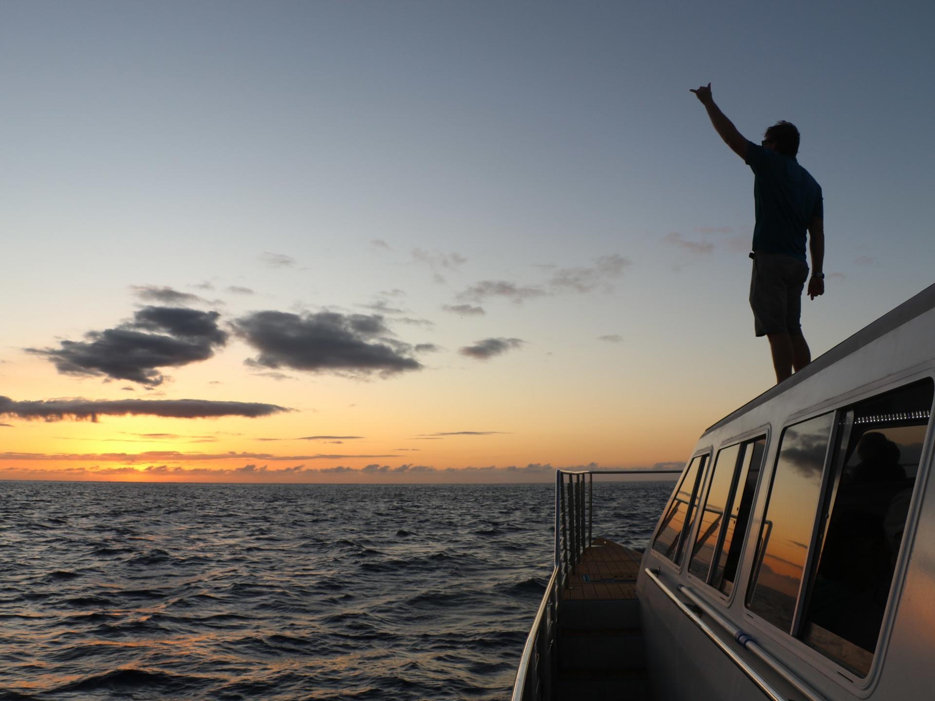 Luxury Sunset Snorkel Cruise with Dolphin Watch in Ko Olina - Thumbnail 2