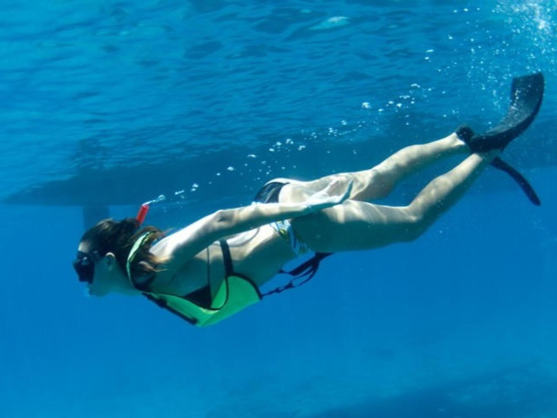 West Oahu Dolphin Watch and Snorkel Sail - Thumbnail 4