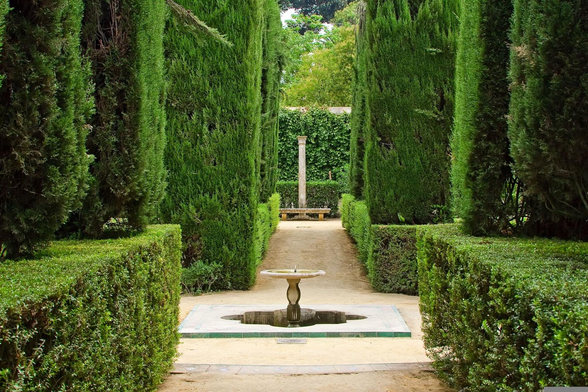 The Alcazar of Seville Guided Tour  - Thumbnail 7