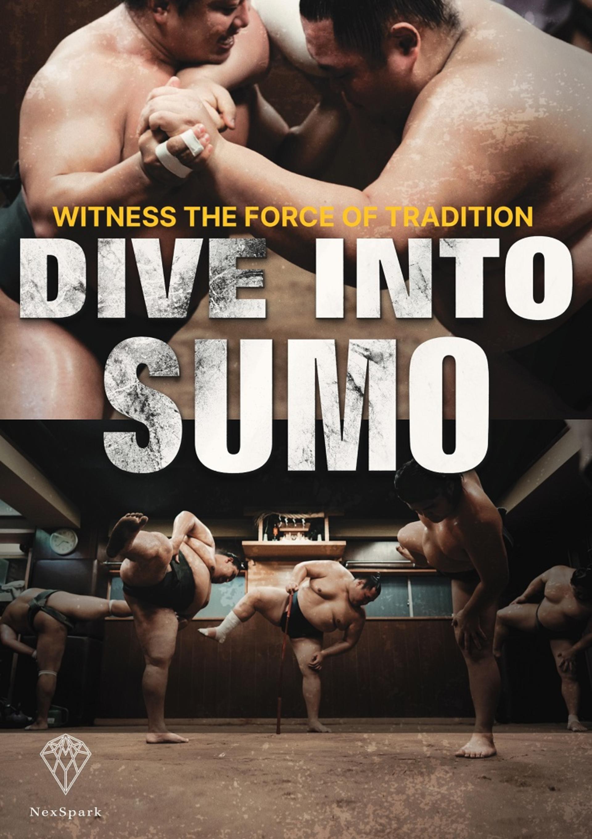 Tokyo Sumo Morning Practice Tour During Tournament Season - Thumbnail 10