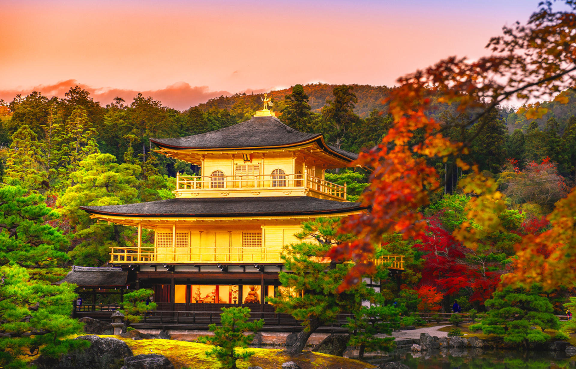 Kinkaku-ji Temple & Arashiyama Night Train Illuminations Autumn Foliage Viewing Day Tour - Thumbnail 3