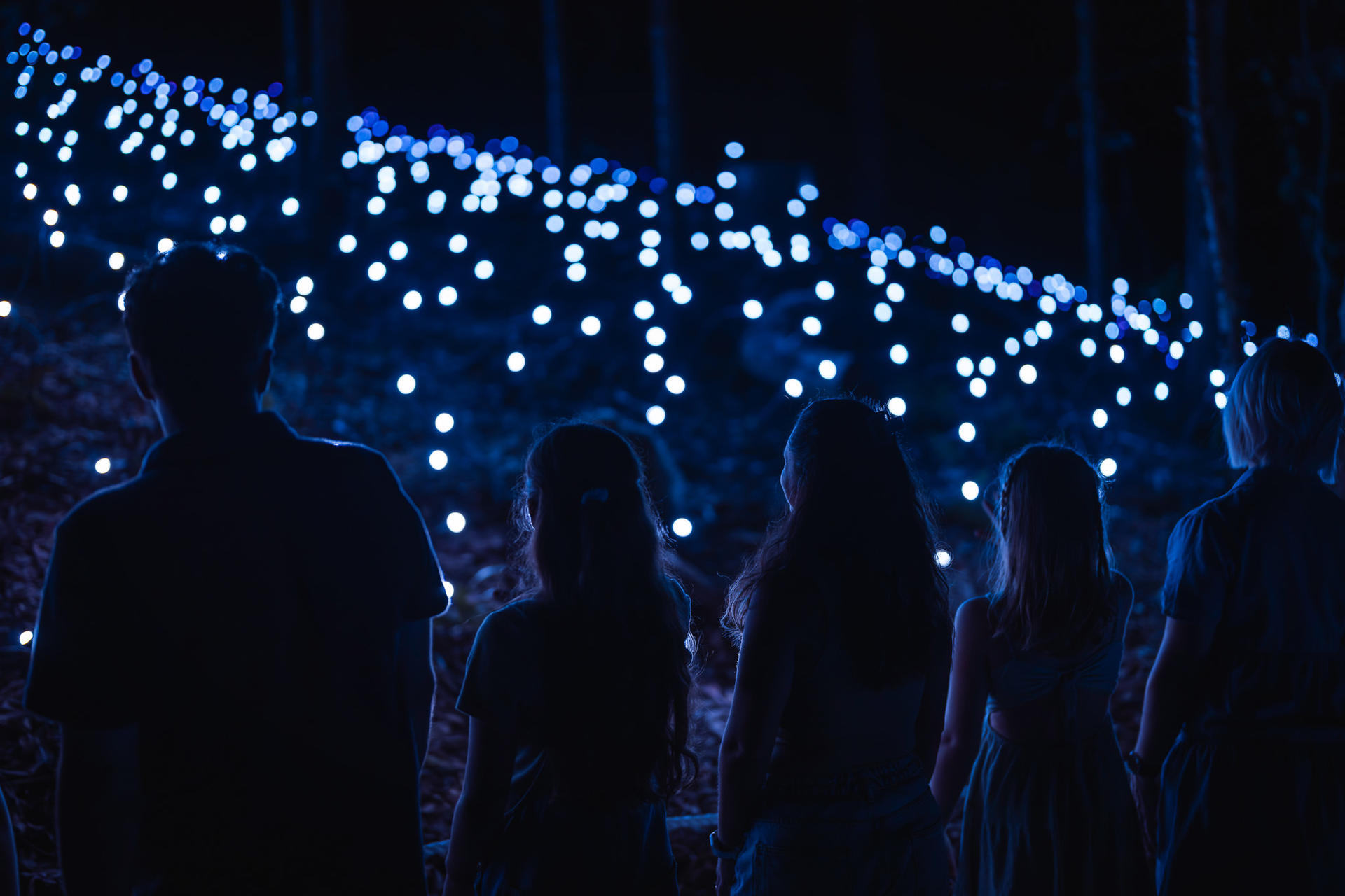Astra Lumina Gold Coast at Currumbin Wildlife Sanctuary - Thumbnail 2