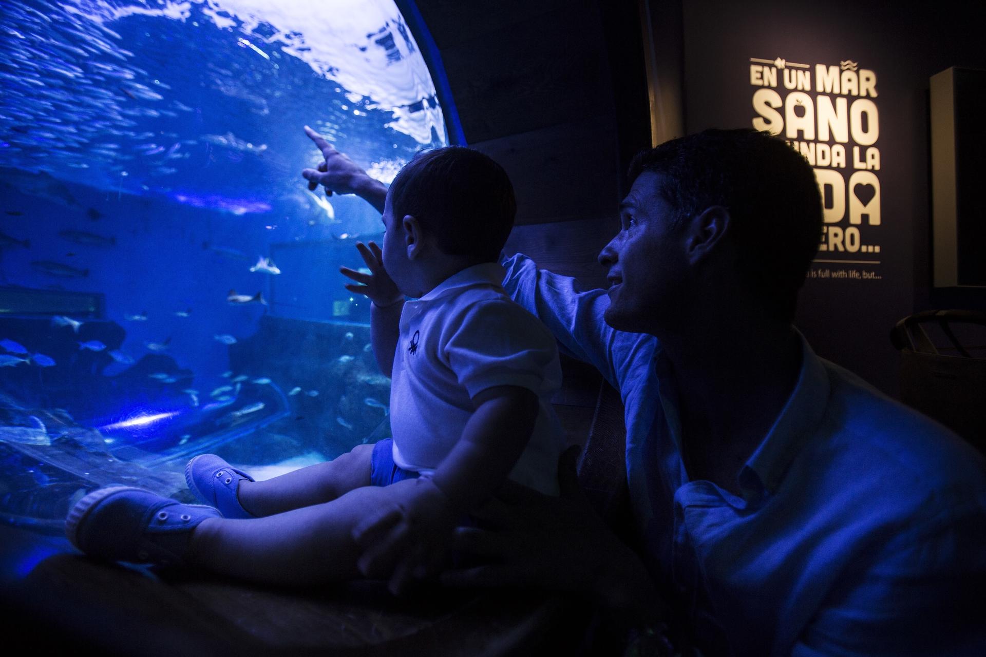 Seville Aquarium Ticket in Spain - Thumbnail 7