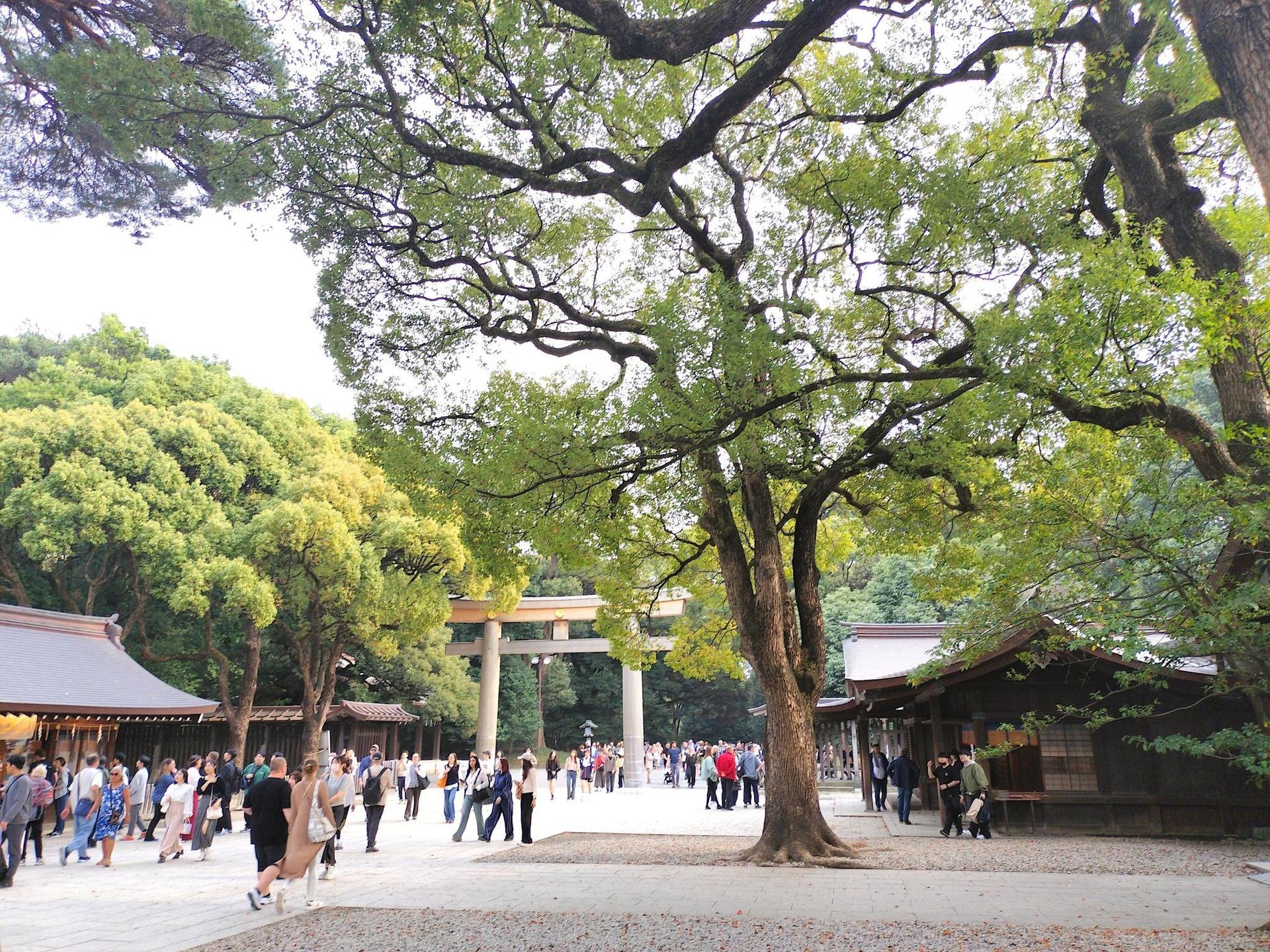 Tokyo Private City Exploration Tour: One Day Highlights - Thumbnail 32