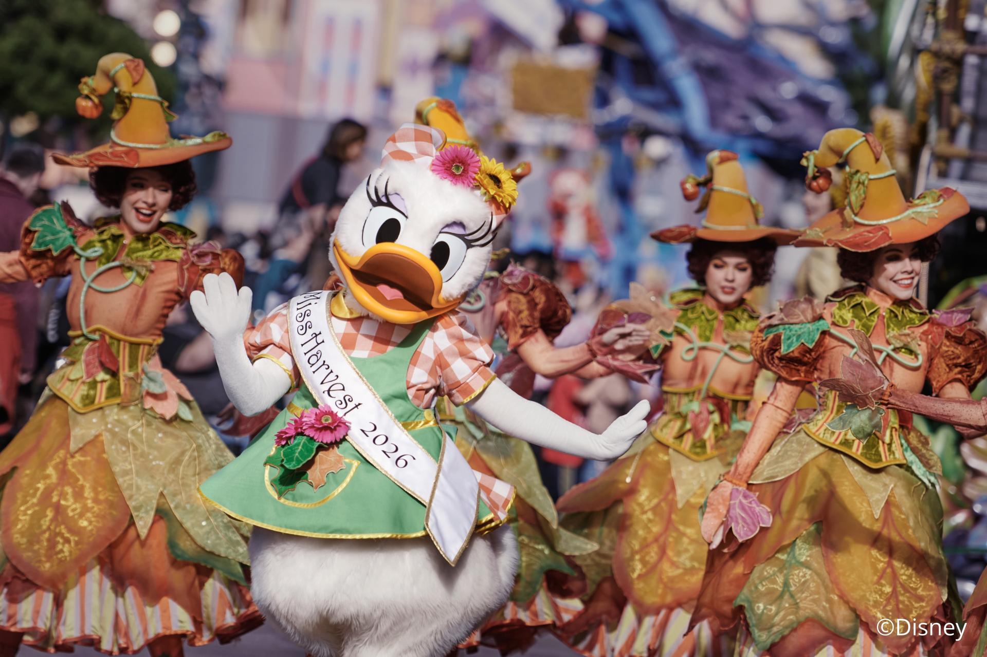 Disneyland Paris Theme Park Ticket - Thumbnail 4