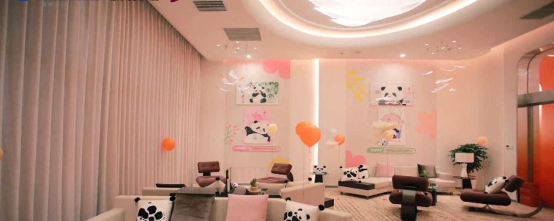 Chengdu East Railway Station Lounge Service - Thumbnail 5